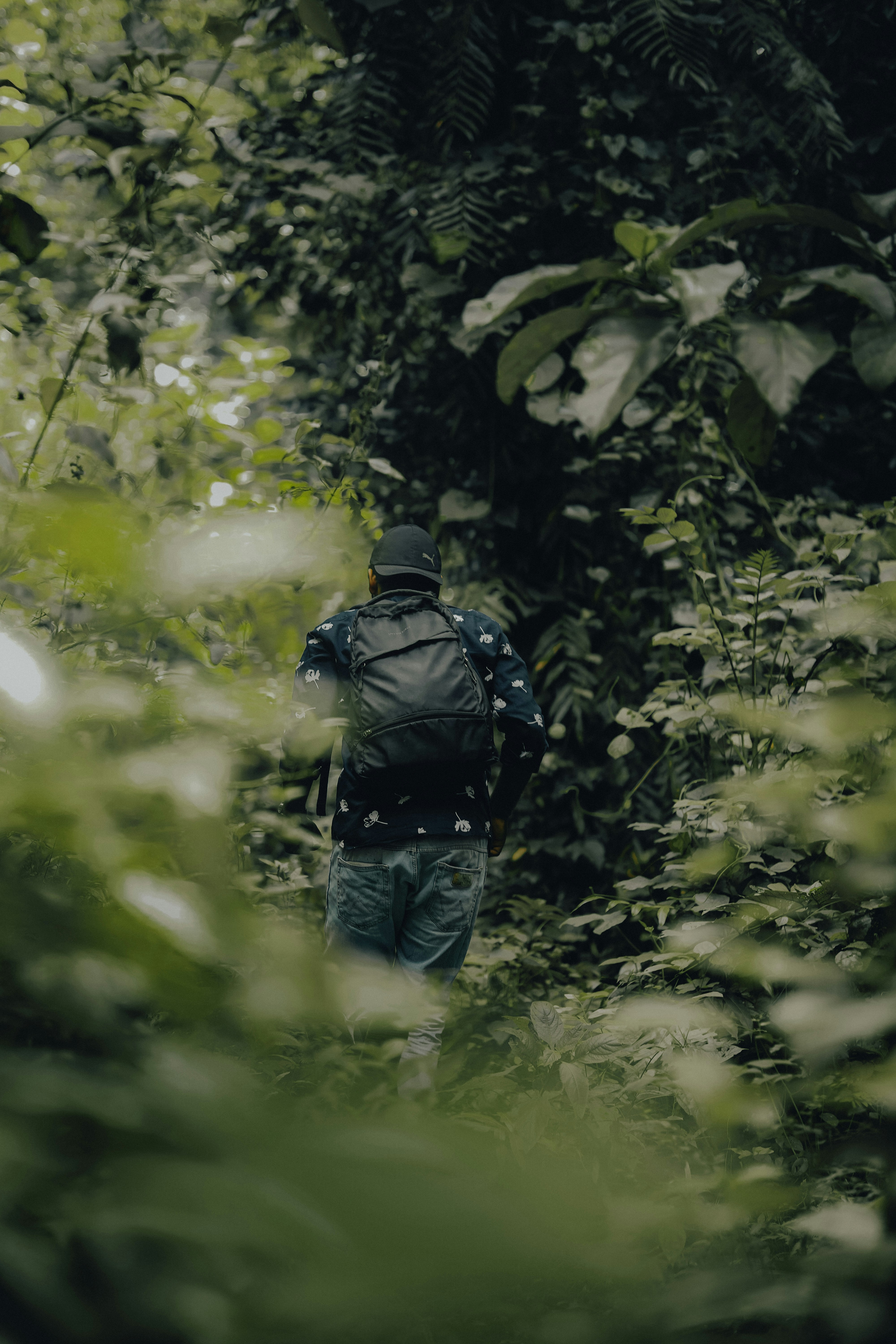 Photo by nanduvasudevan