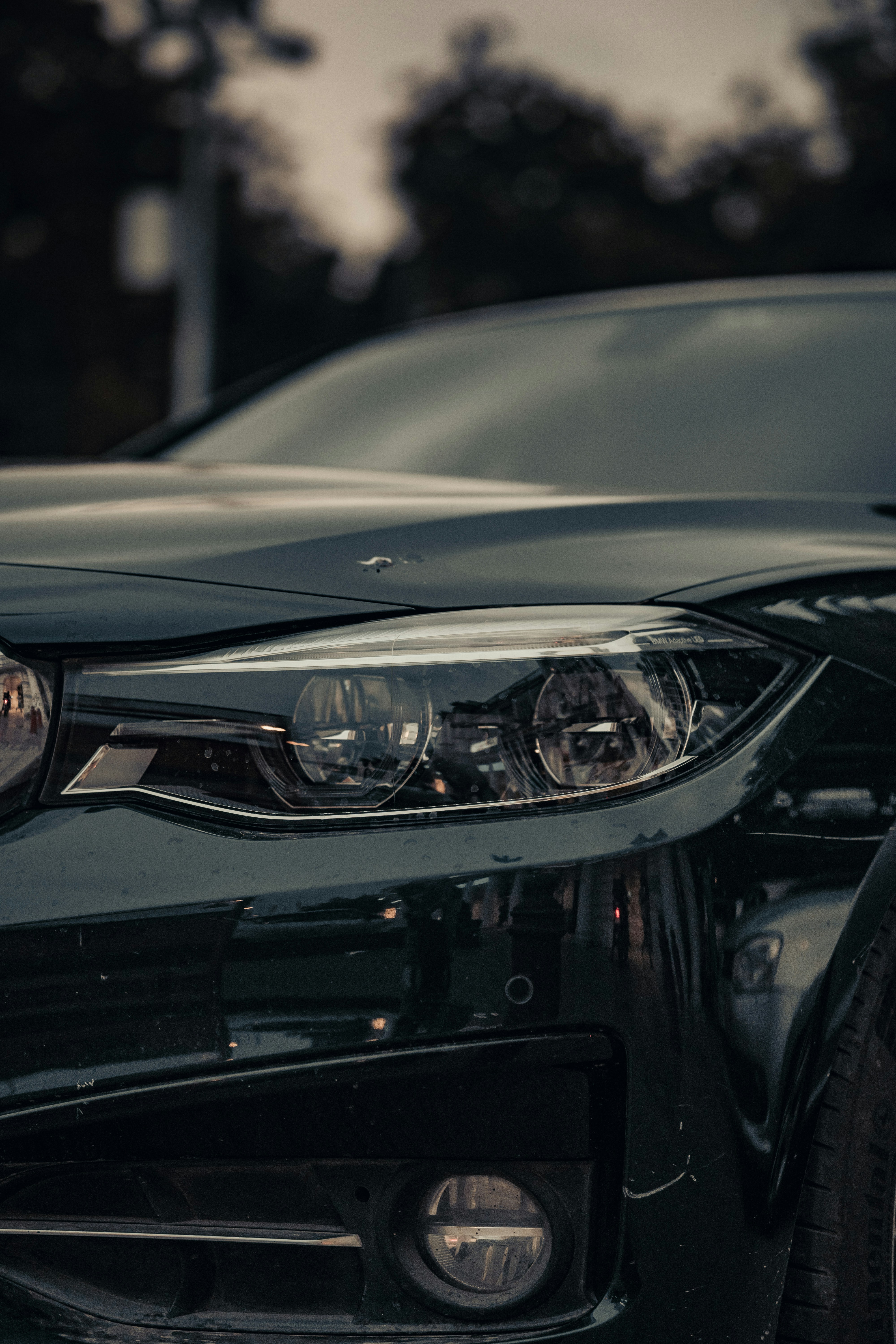 Photo by nanduvasudevan