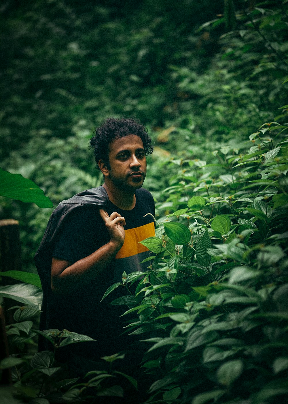 a man standing in the middle of a lush green forest