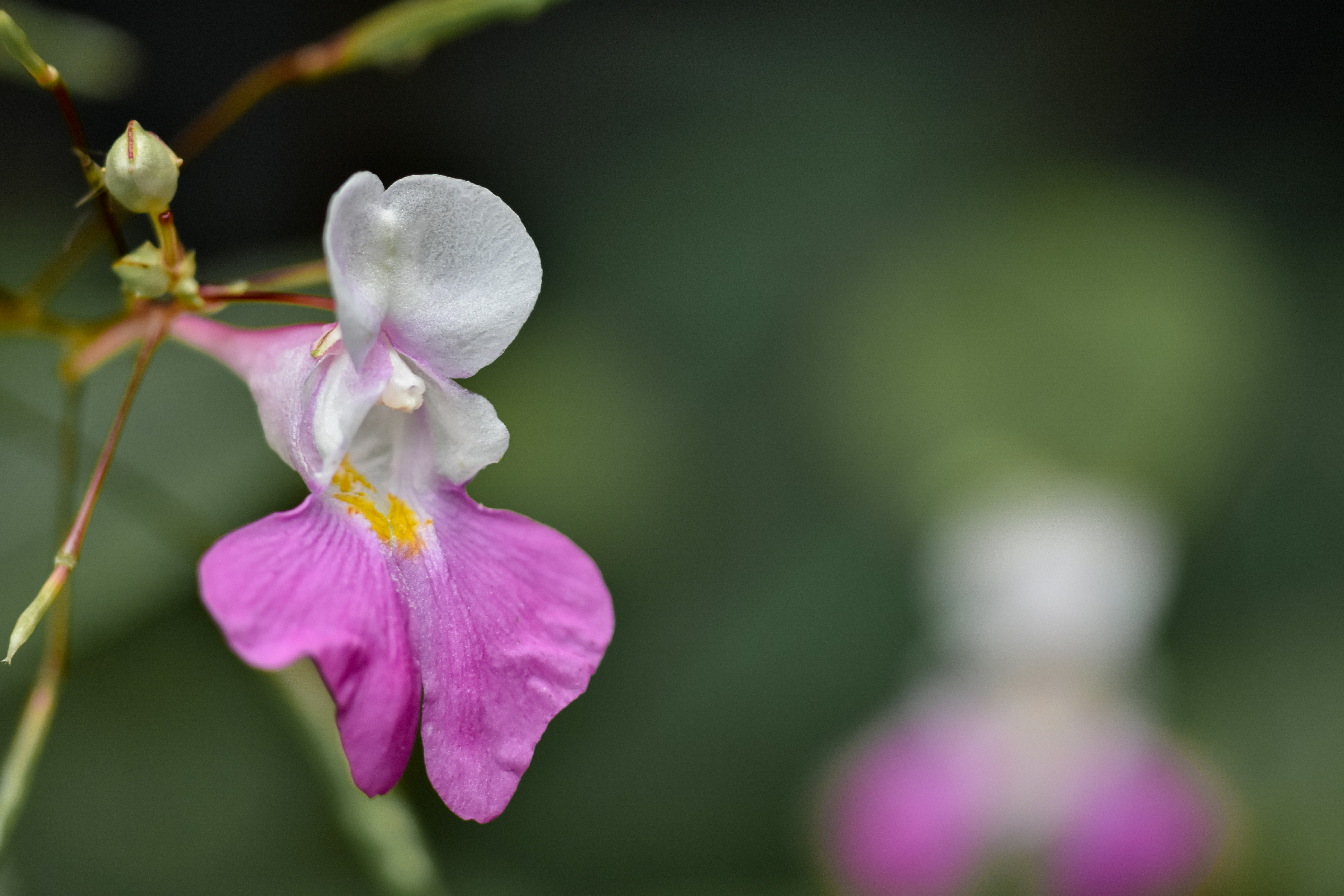 Photo by motaztawfik