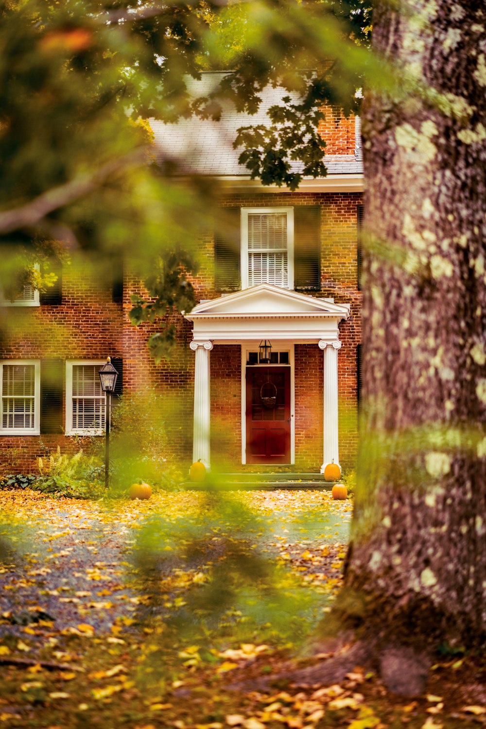 a house with a red door surrounded by trees