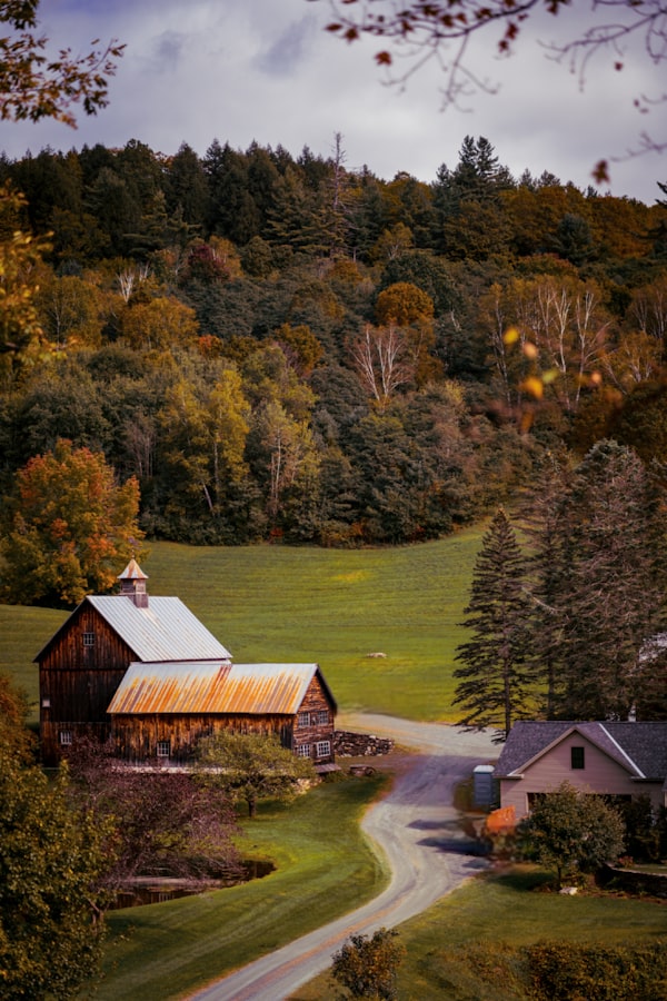 Vermont Fall Foliage on a Budget