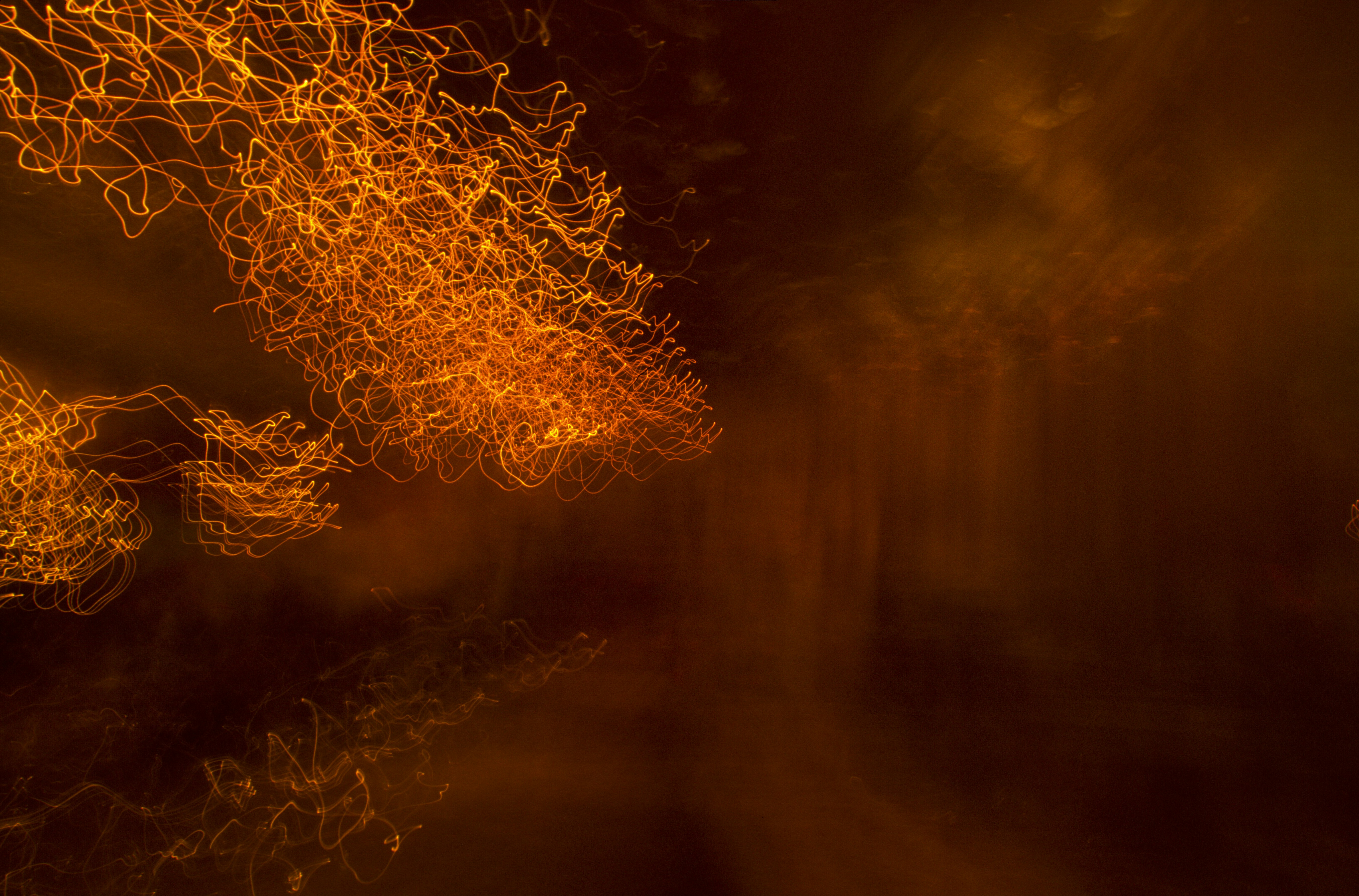 Photo by rocinante_11