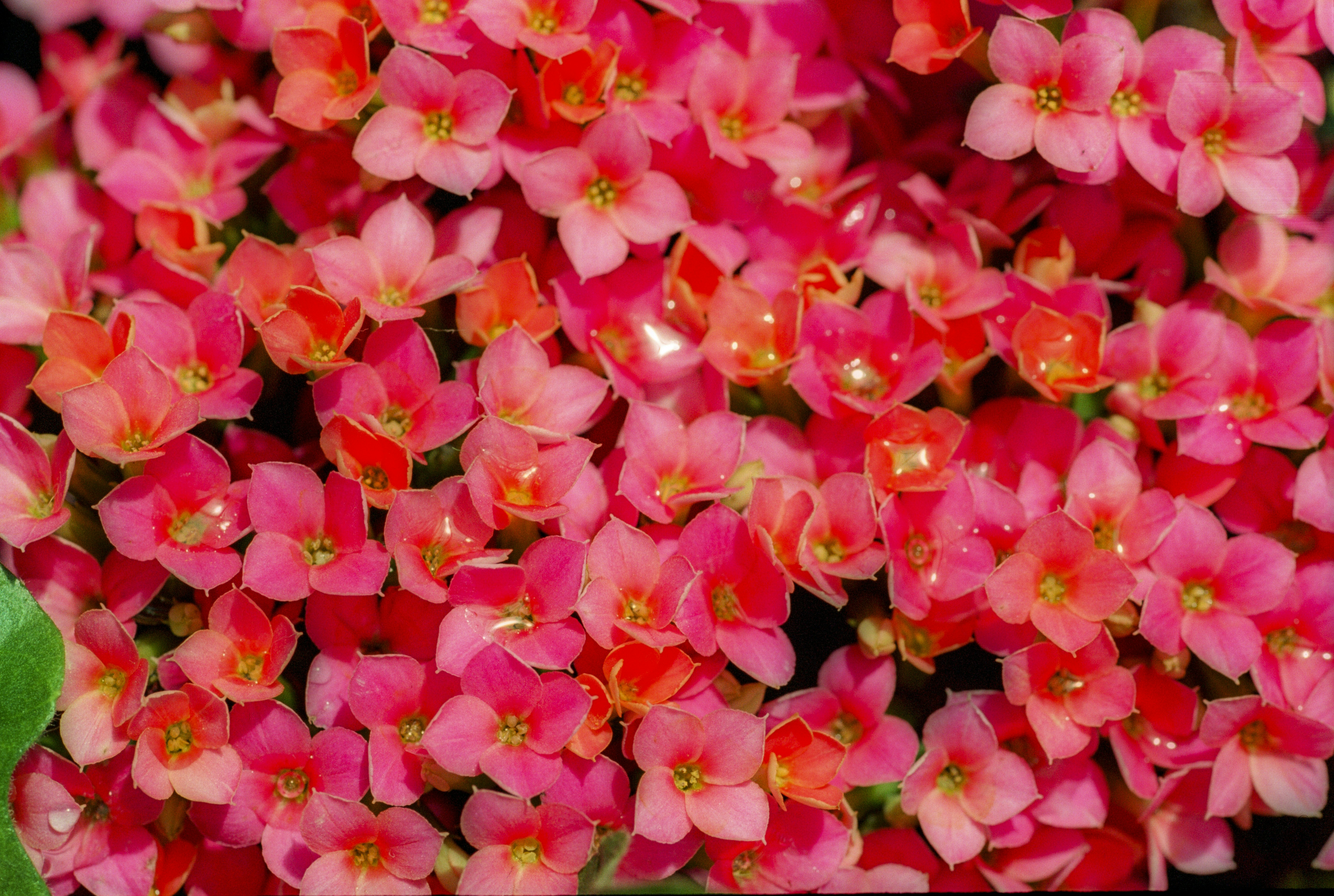 Photo by rocinante_11