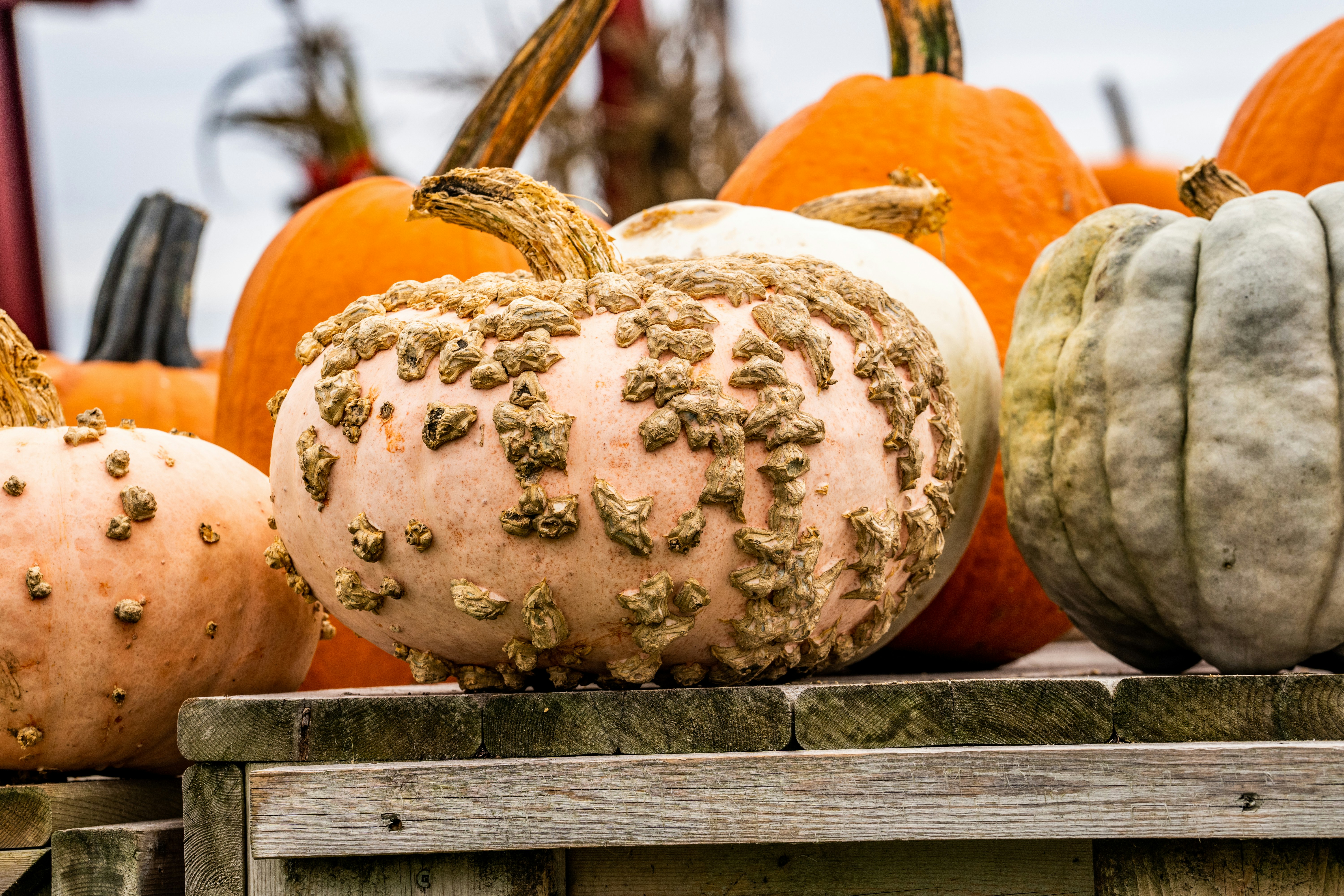 Photo by chris_robert