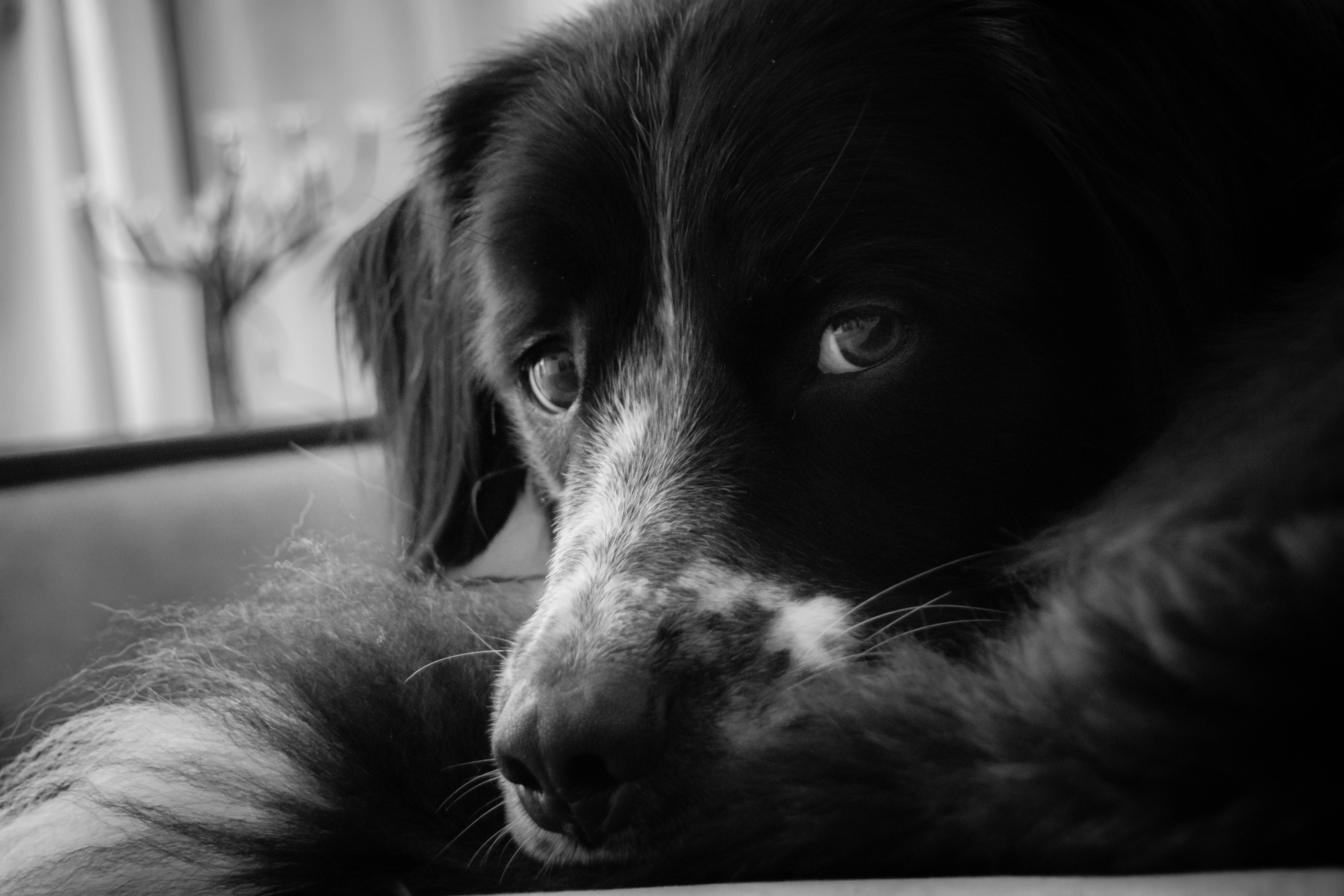 Photo by sigandthesea