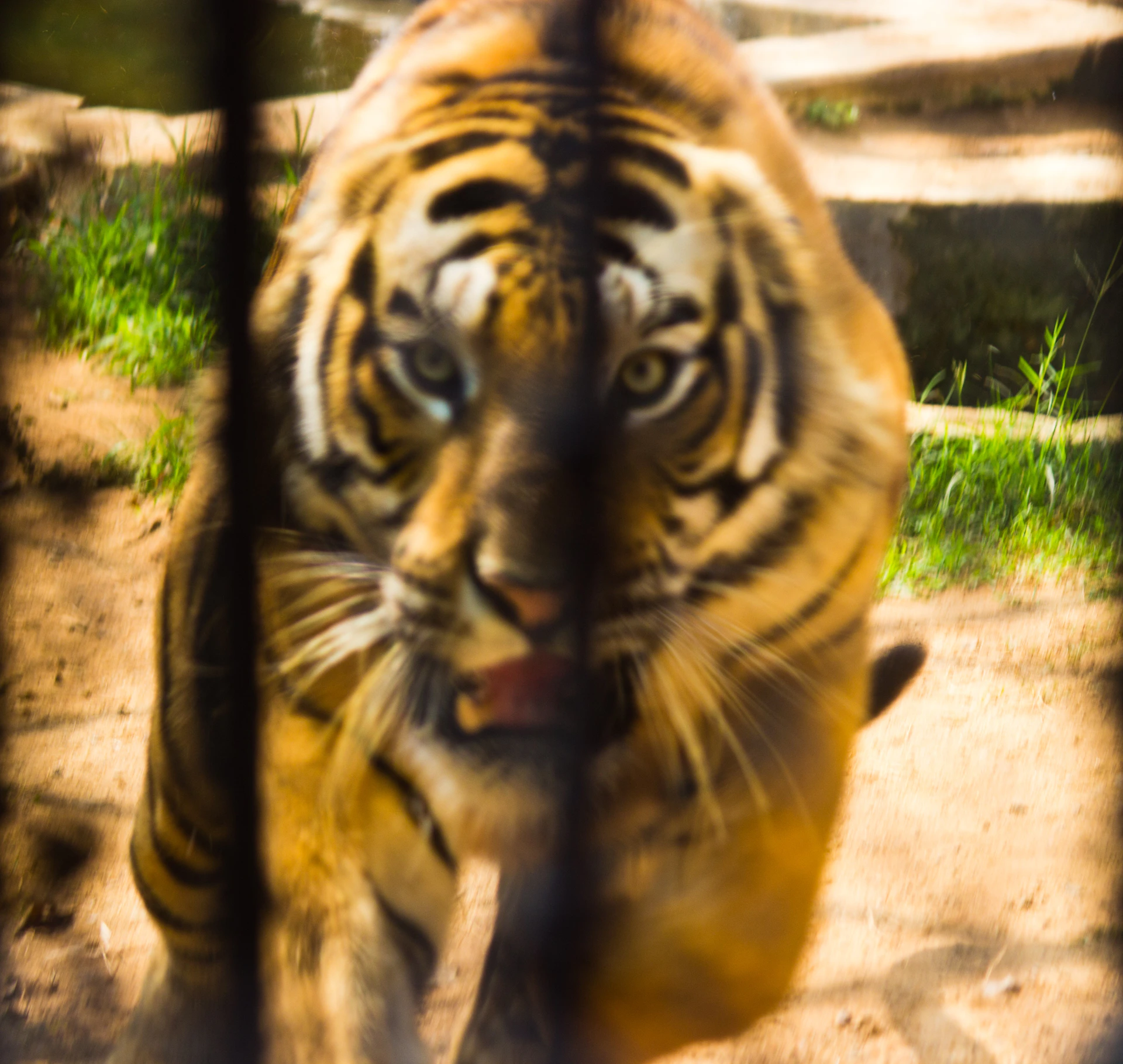 woman wearing yellow long-sleeved dress under white clouds and blue sky during daytime