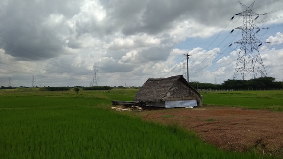 A rural landscape with a small thatched-roof hut situated in a field of vibrant green crops. Overhead, large electrical power lines supported by metal towers stretch across the scene. The sky is filled with dramatic clouds, suggesting an overcast or impending storm.