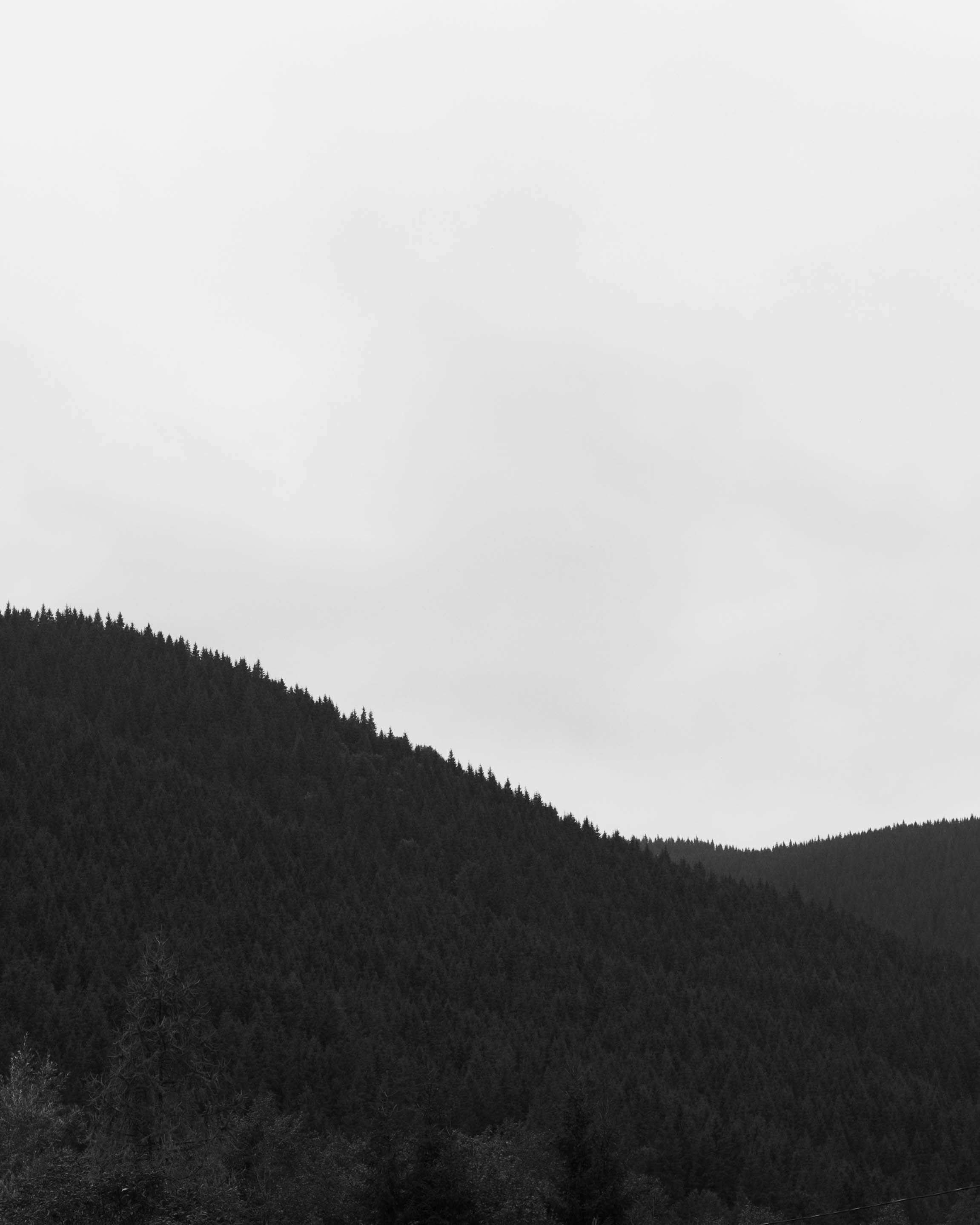 Photo by sasharubaniuk