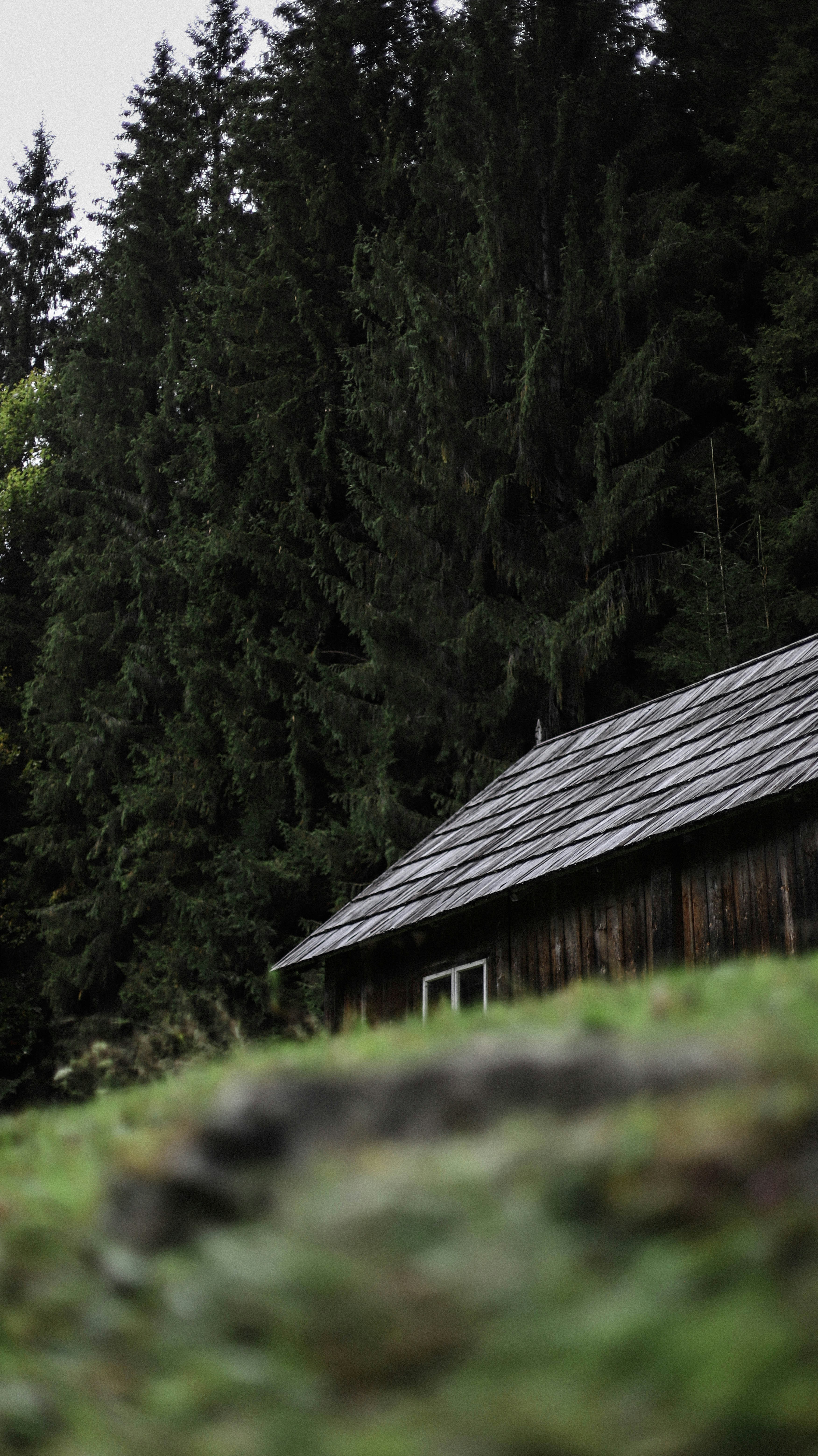 Photo by sasharubaniuk