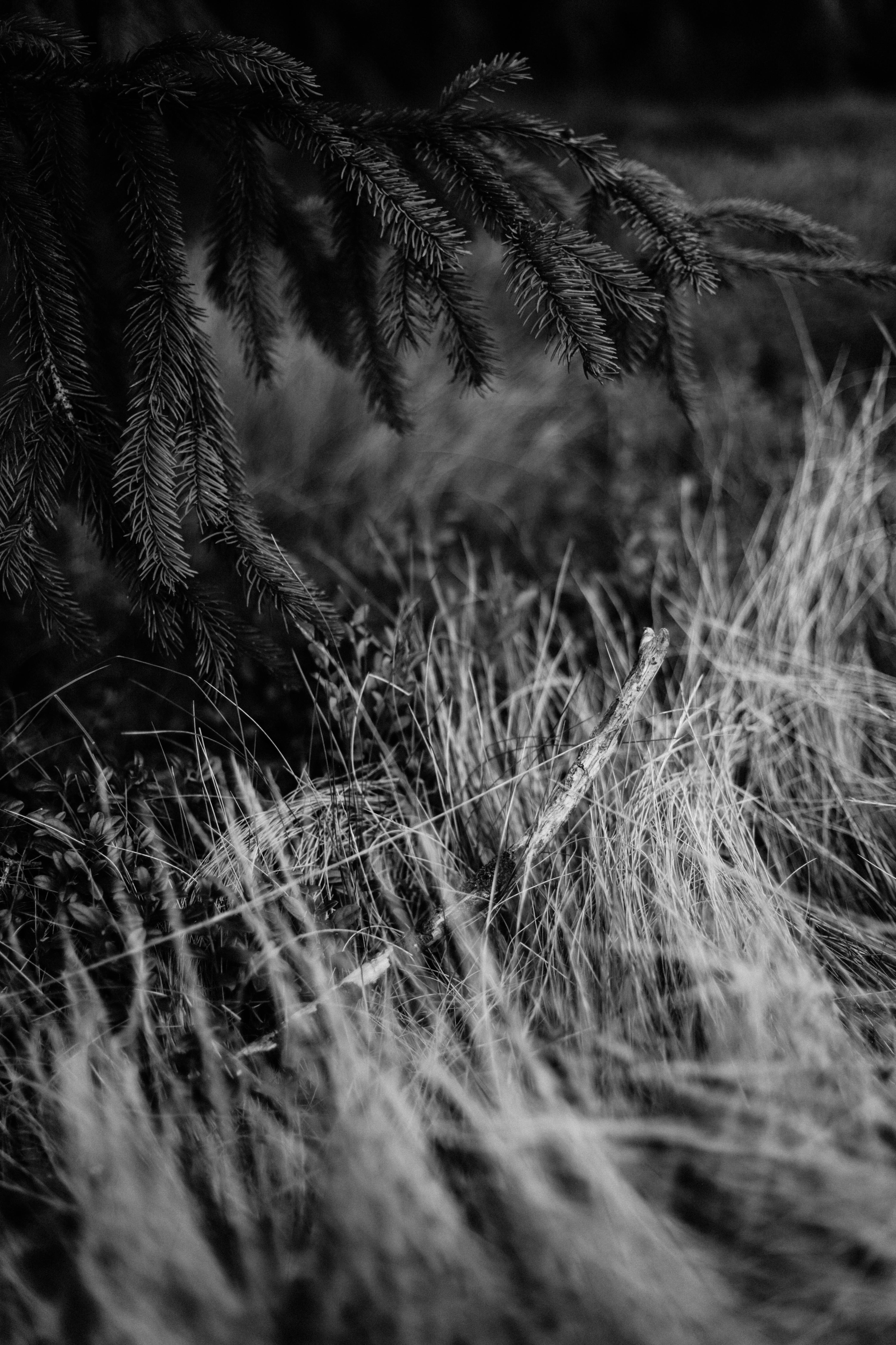 Photo by sasharubaniuk