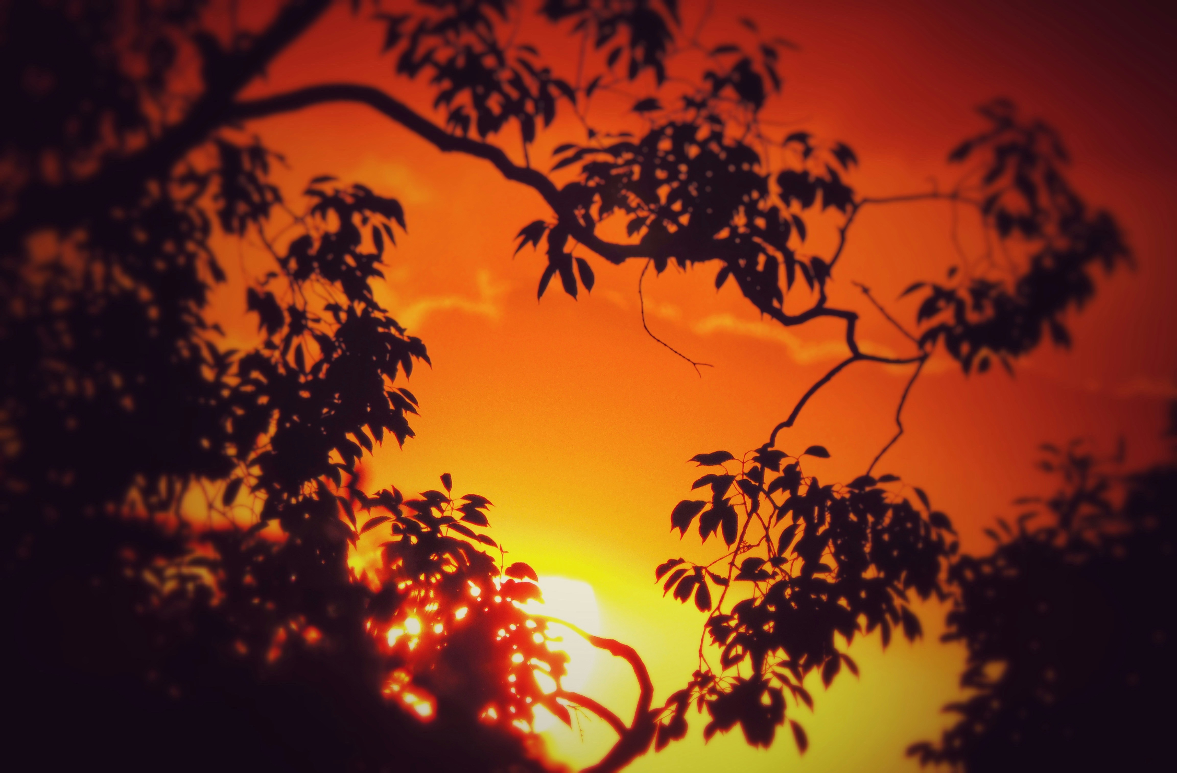 Photo by tetrawastaken