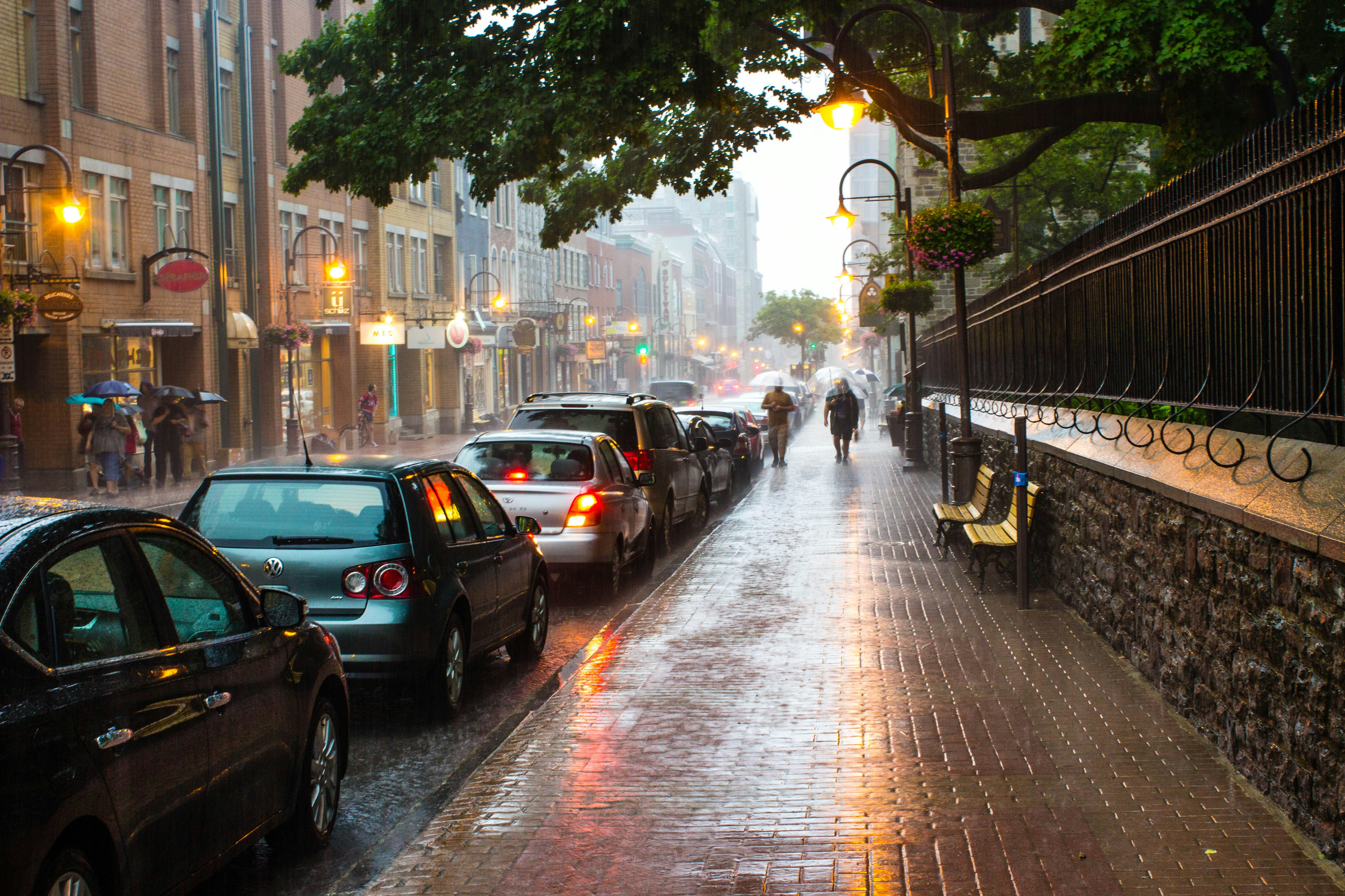 Photo by themysterycat