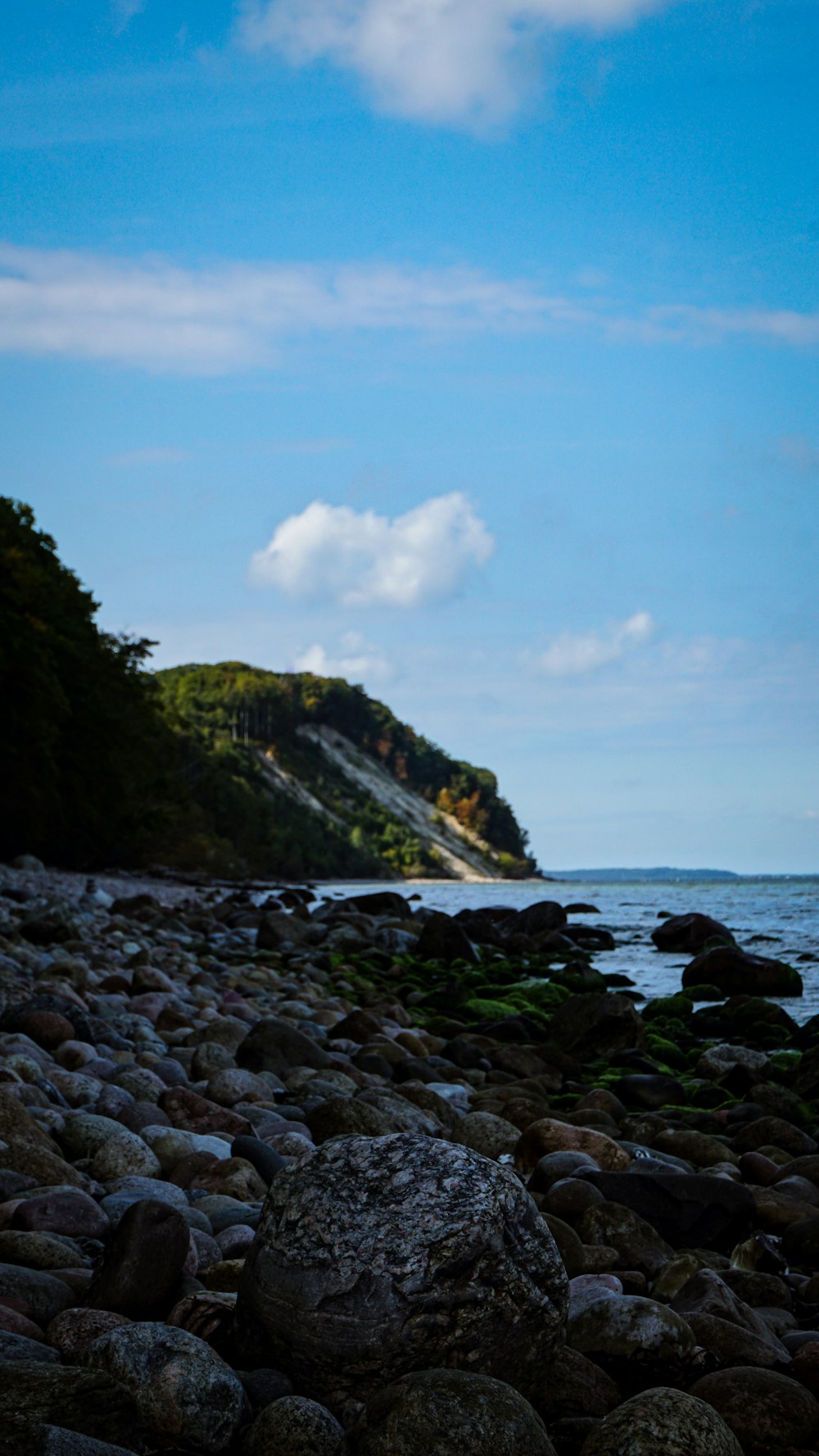 a rocky beach with a hill in the background