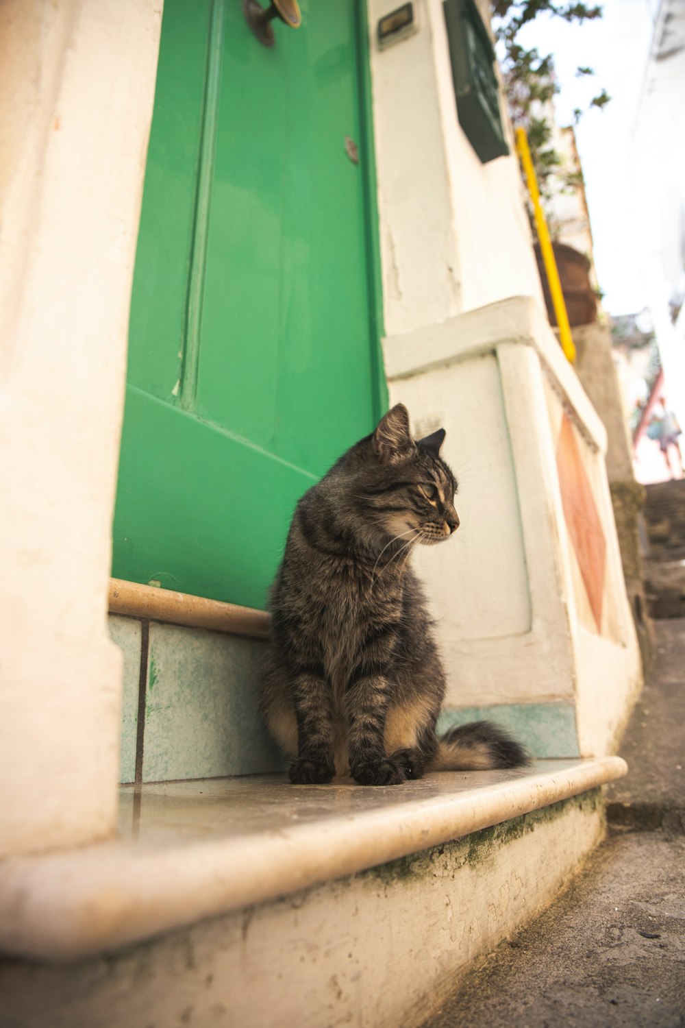a cat sitting on a step next to a green door