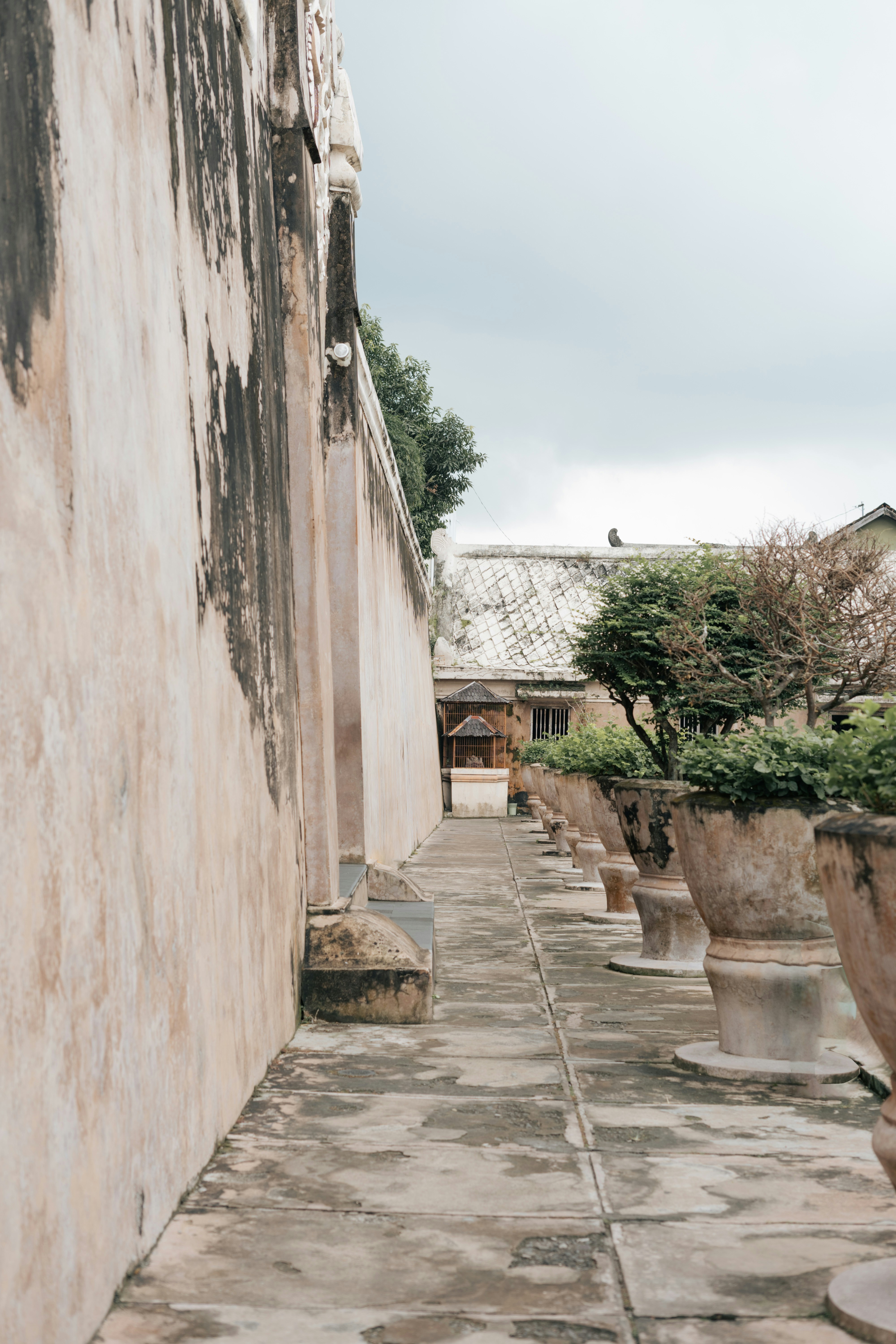 a row of planters sitting on the side of a building