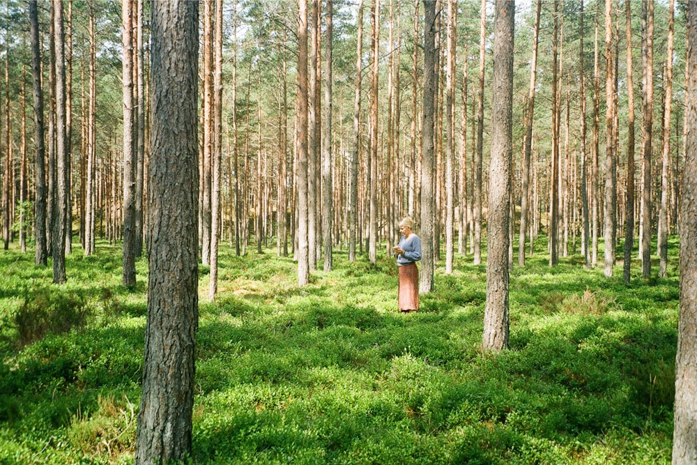 a person standing in the middle of a forest