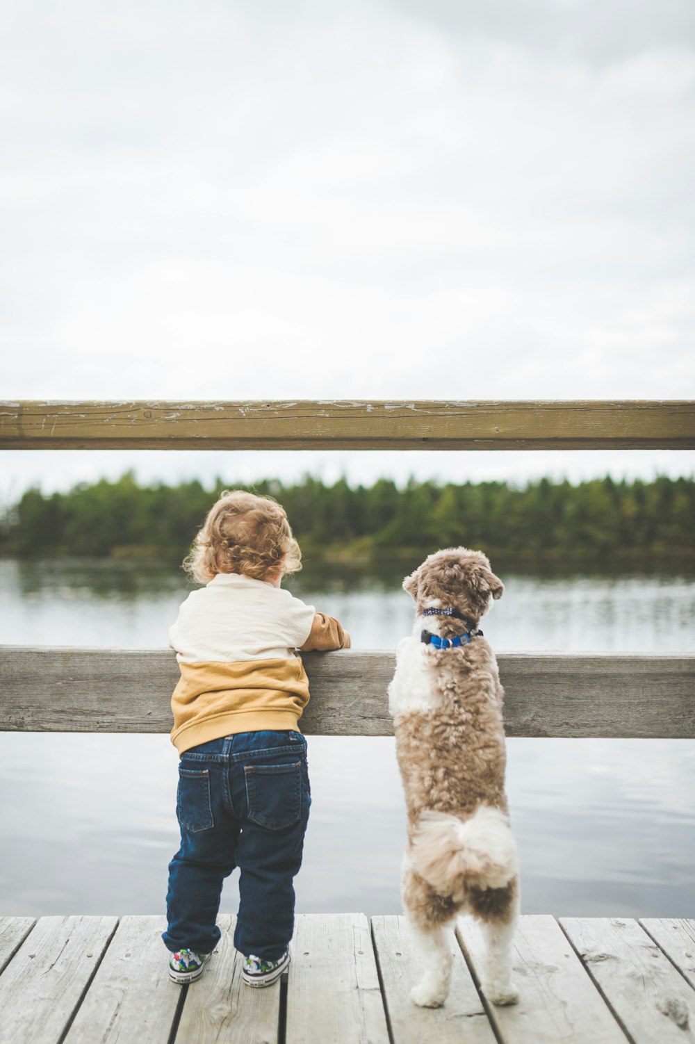 a little boy and a dog standing on a dock