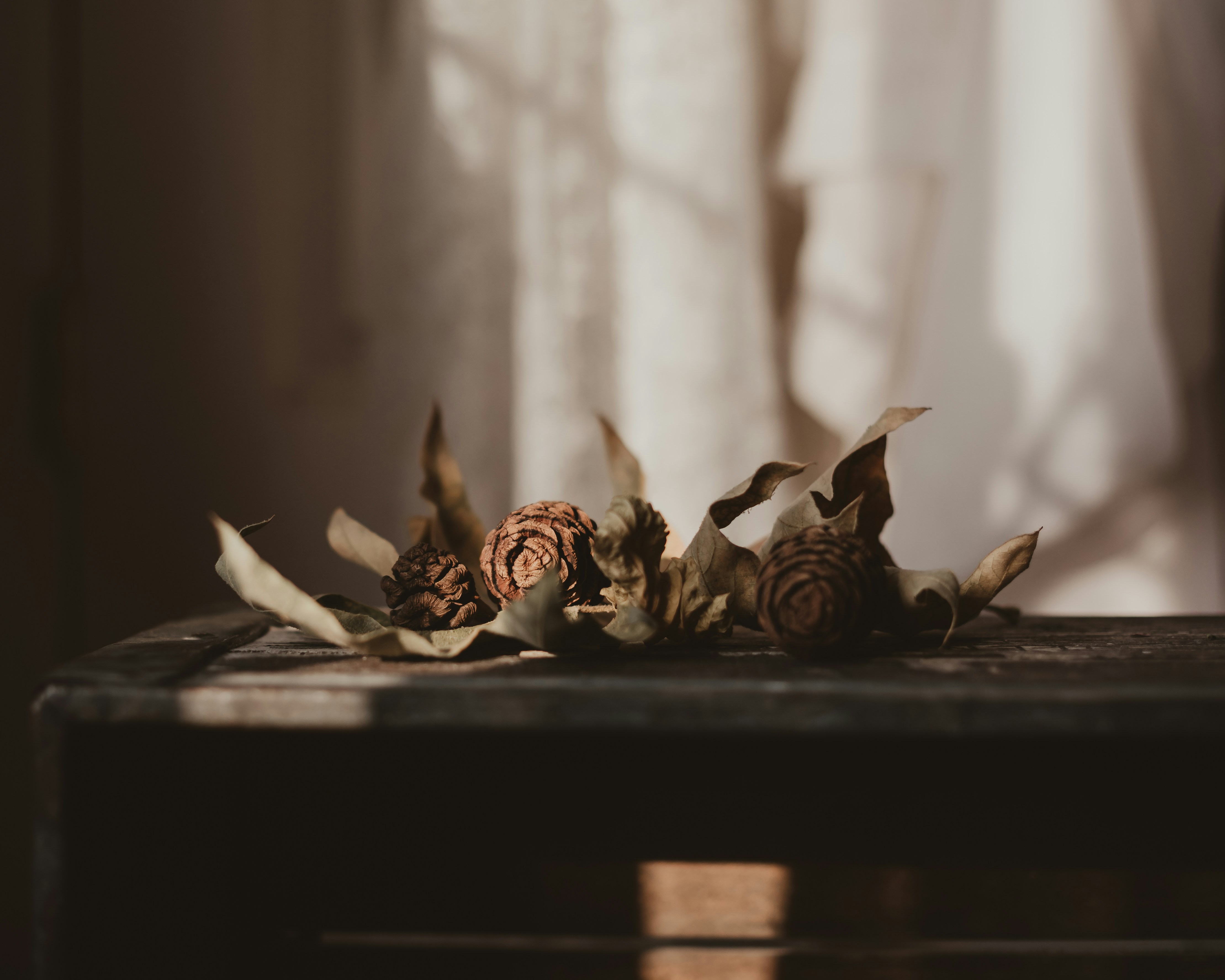 Photo by sixteenmilesout