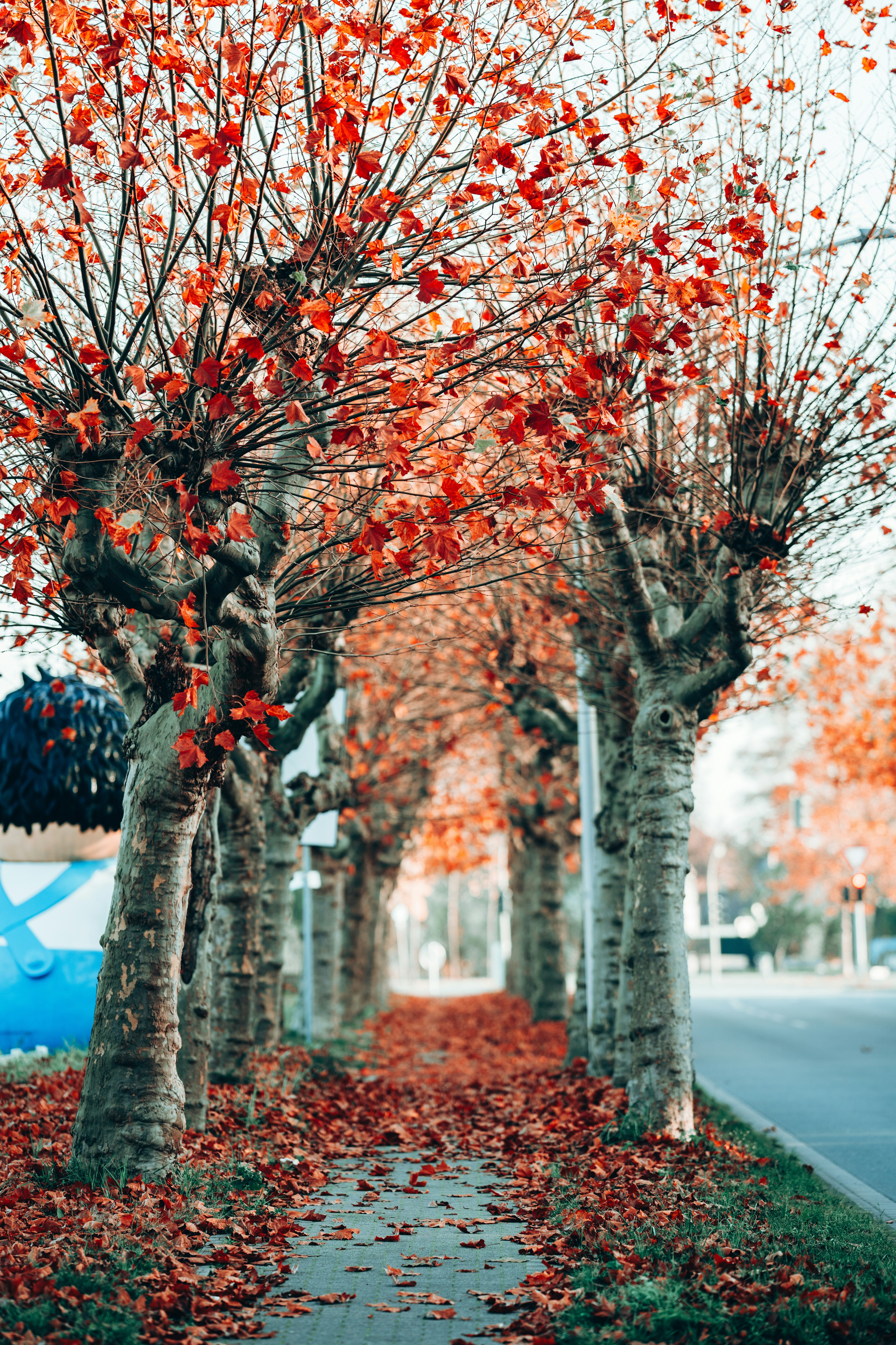 Photo by omarvellous14