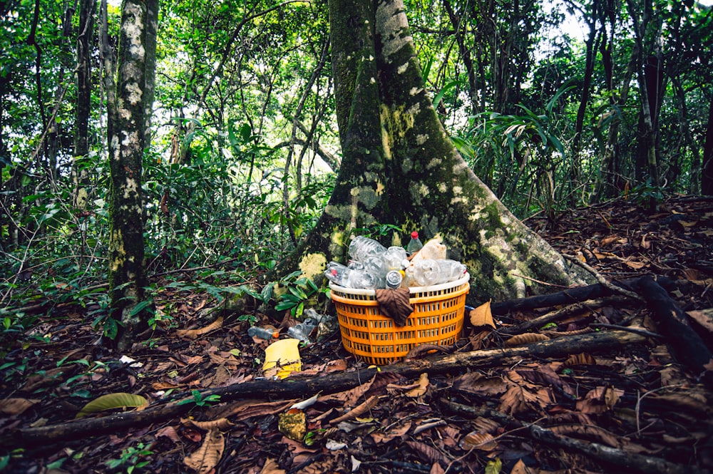 a basket full of plastic bottles sitting in the middle of a forest