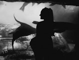 A silhouette of a person is set against a background of aquatic life, with large sea creatures swimming past. The image captures the interaction between humans and marine wildlife, showcasing the graceful movement of the animals.