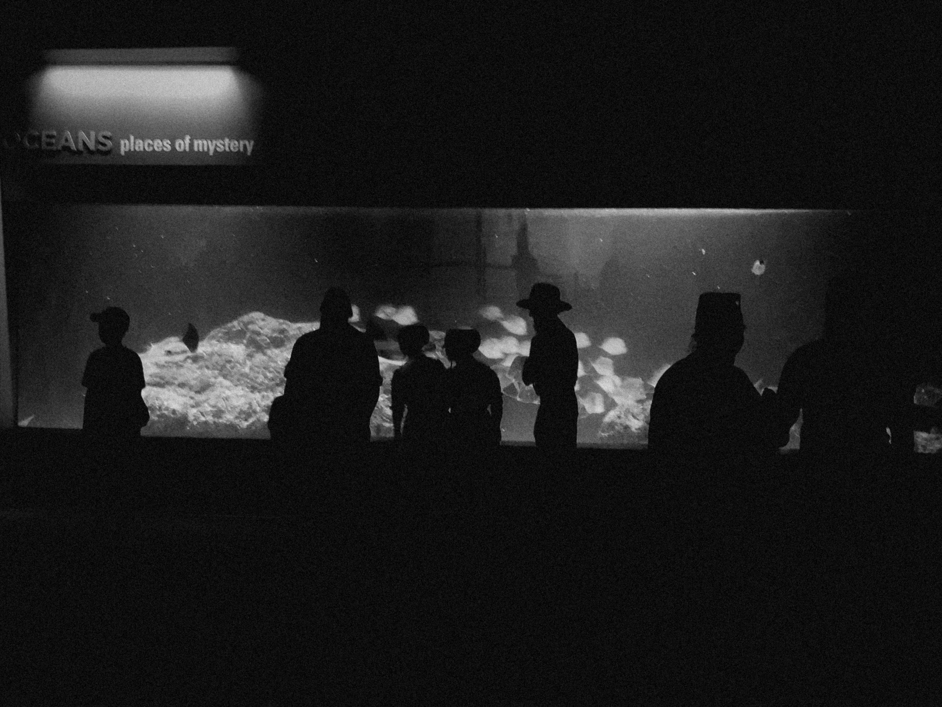 a group of people standing in front of a large aquarium
