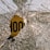 A broken glass with a large central crack and web-like fractures radiating outward. Behind the shattered glass, there is a blurred object with the word 'HOOD' partially visible in bold letters.