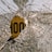 A broken glass with a large central crack and web-like fractures radiating outward. Behind the shattered glass, there is a blurred object with the word 'HOOD' partially visible in bold letters.