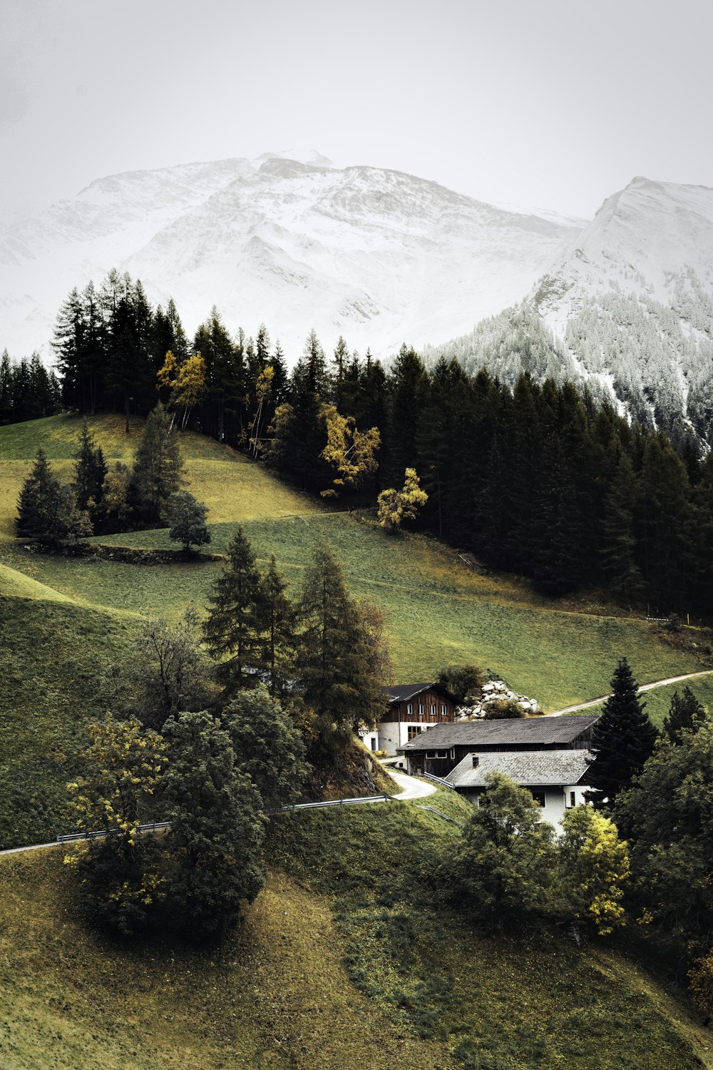 a house on a hill surrounded by trees