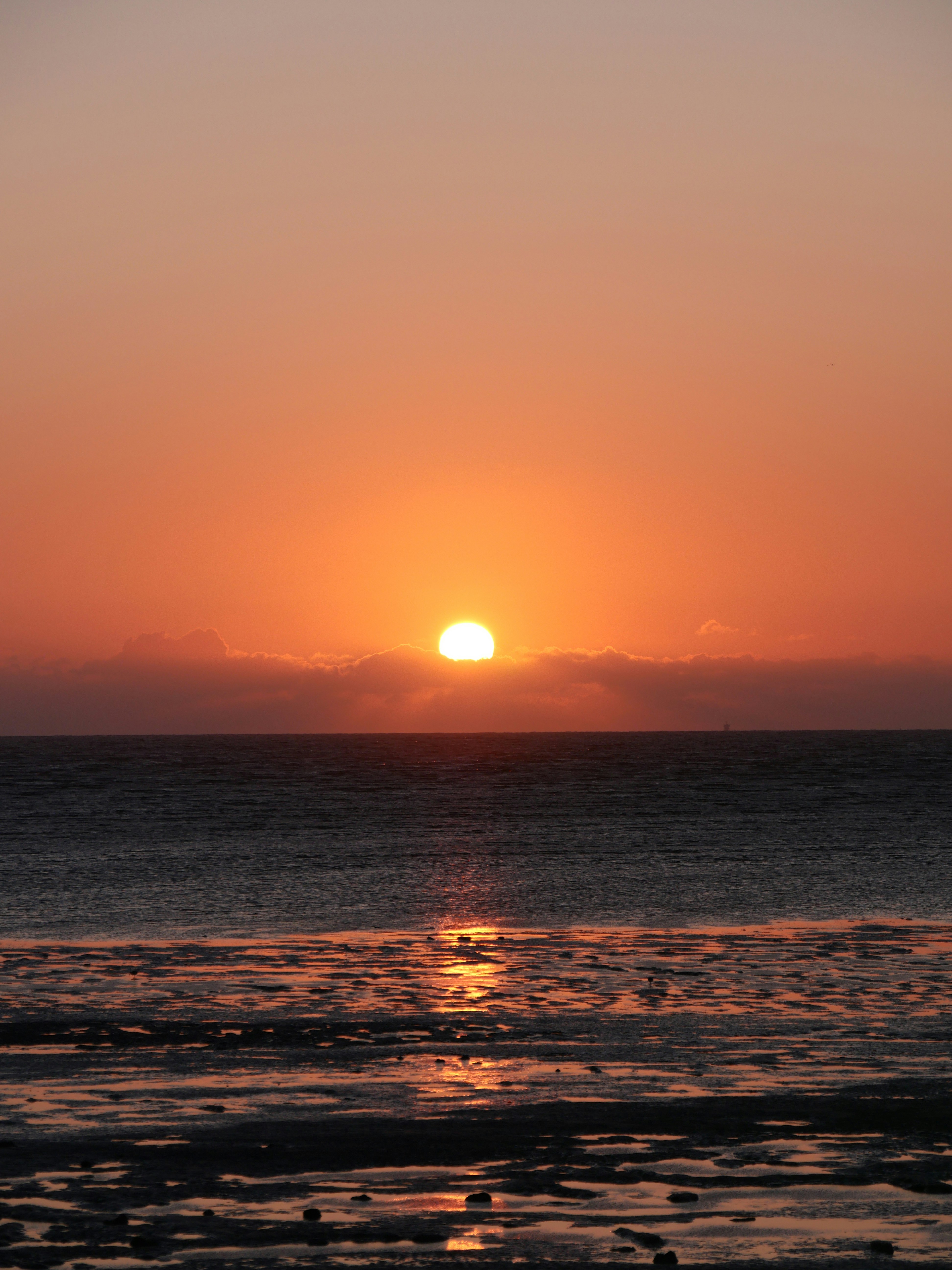 Photo by nimbus_vulpis