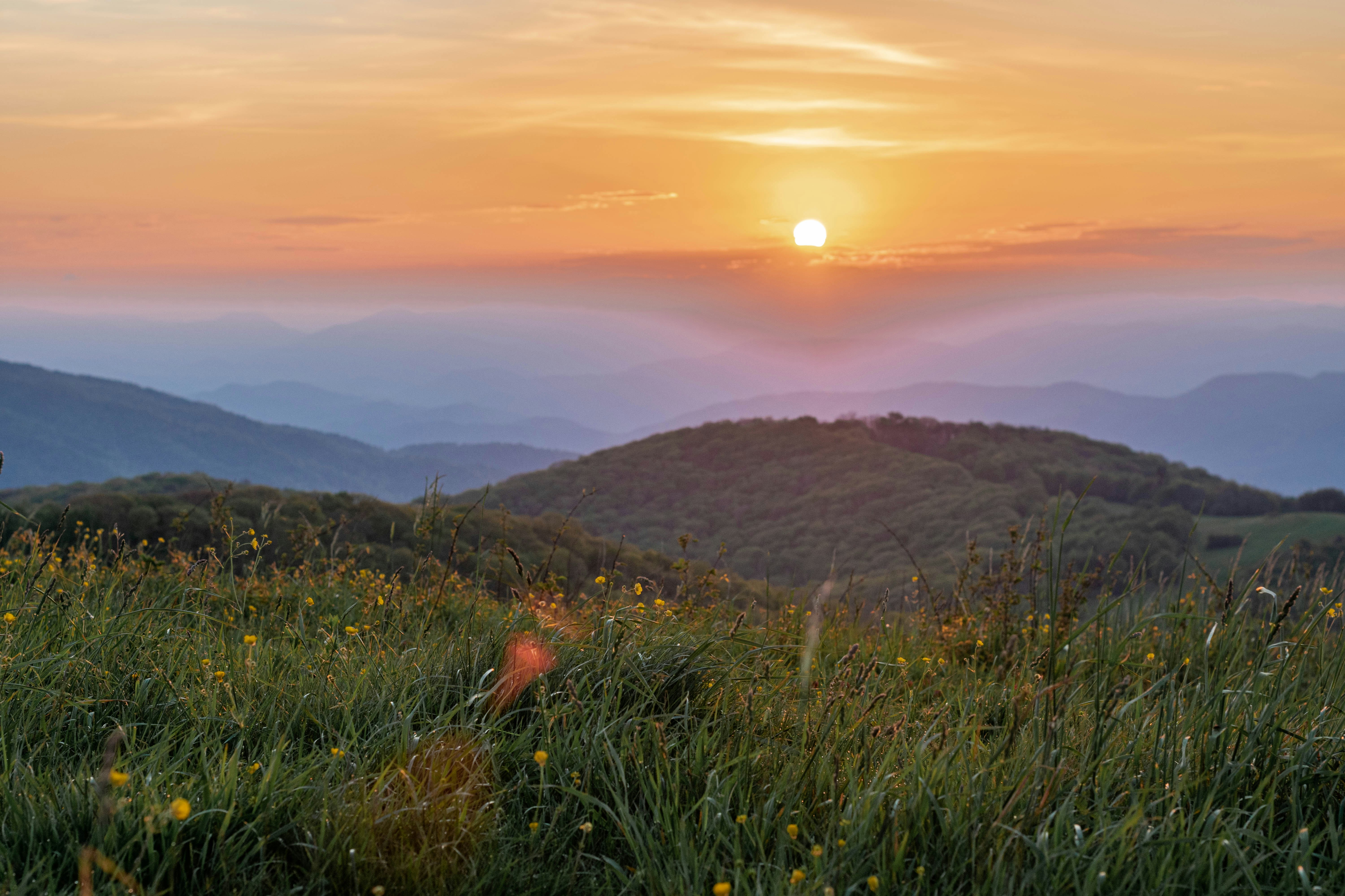 Photo by cooperphotos