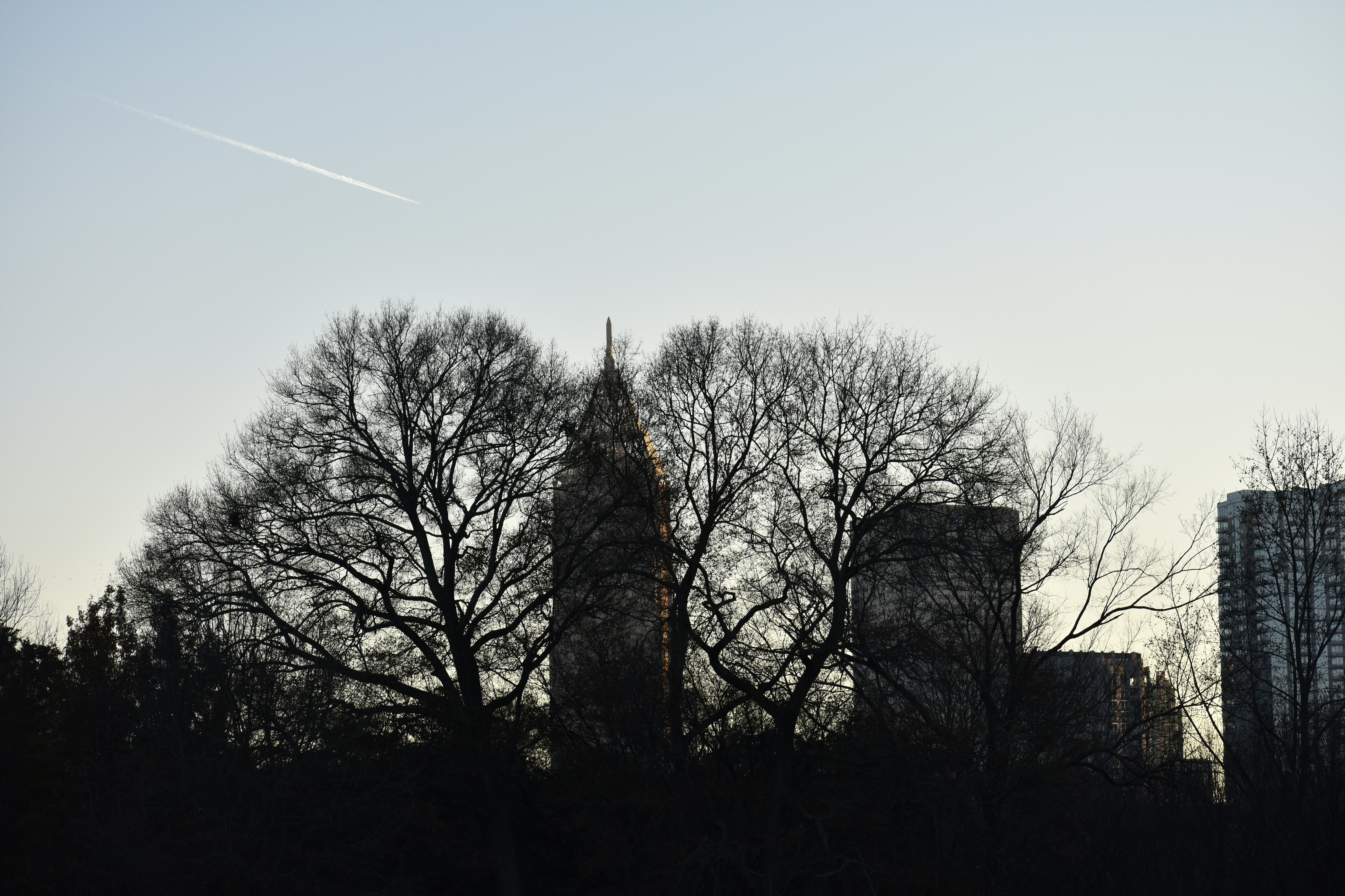 Containers in Columbus Grove, OH