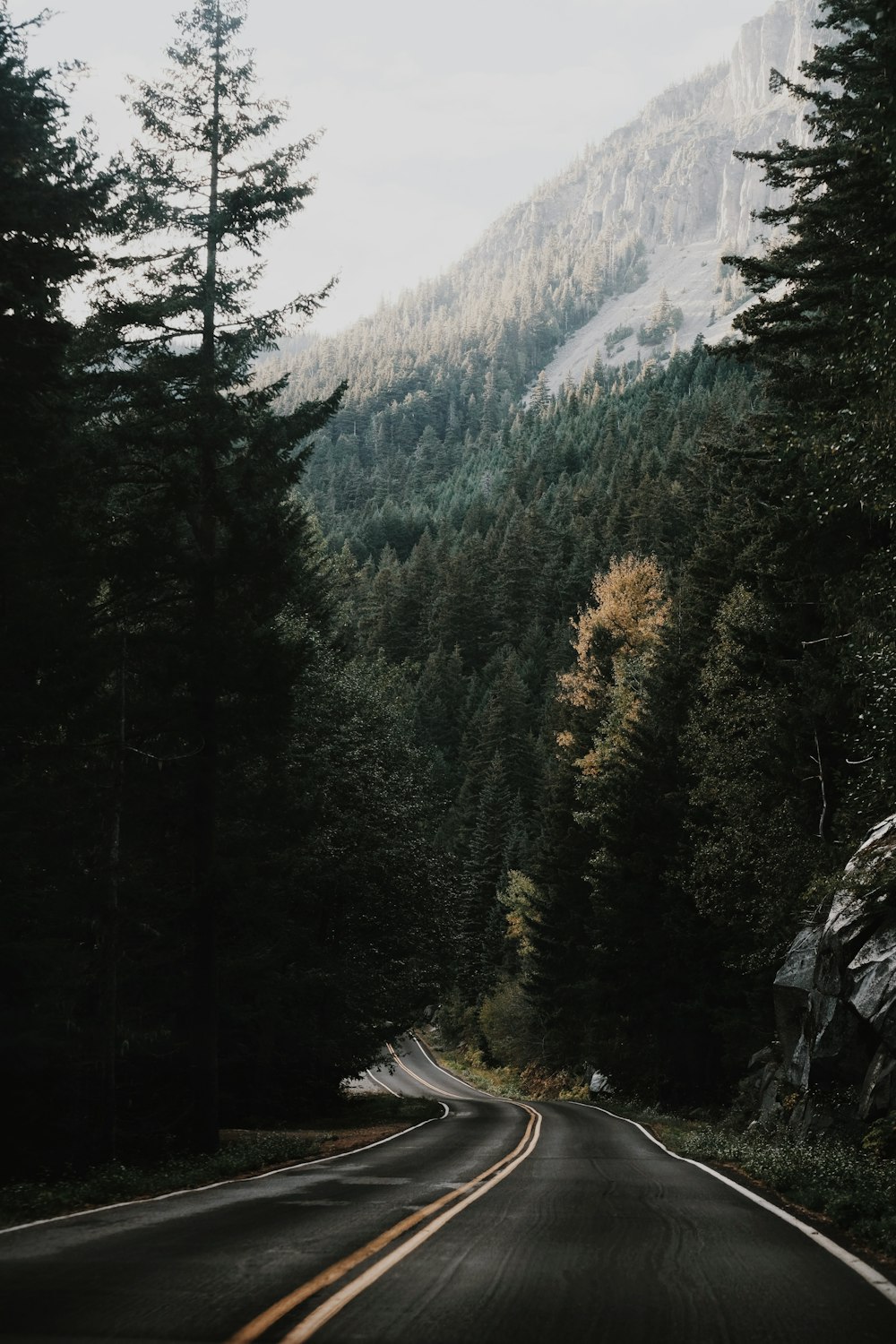 a road with a mountain in the background