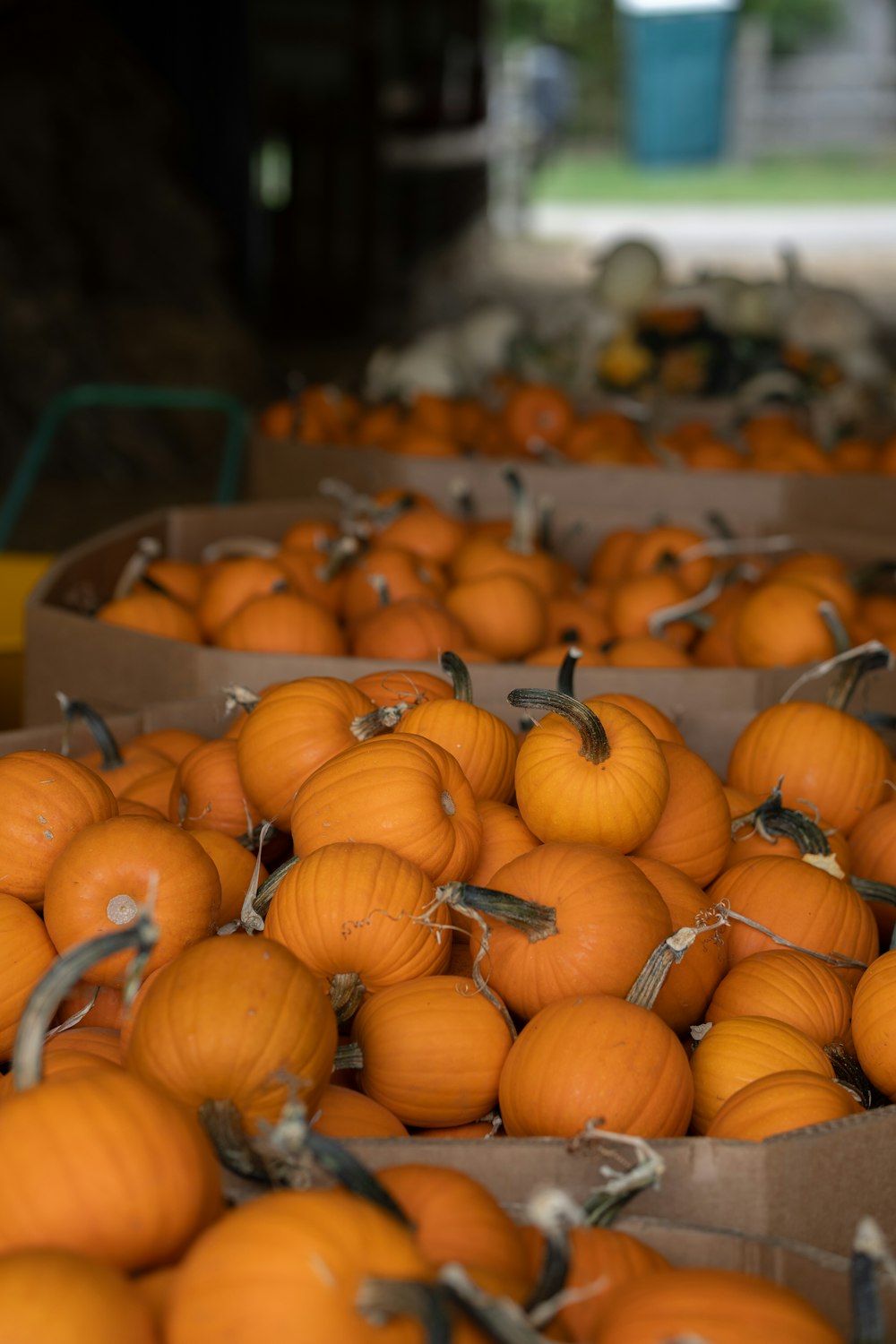 a pile of orange pumpkins sitting on top of a table