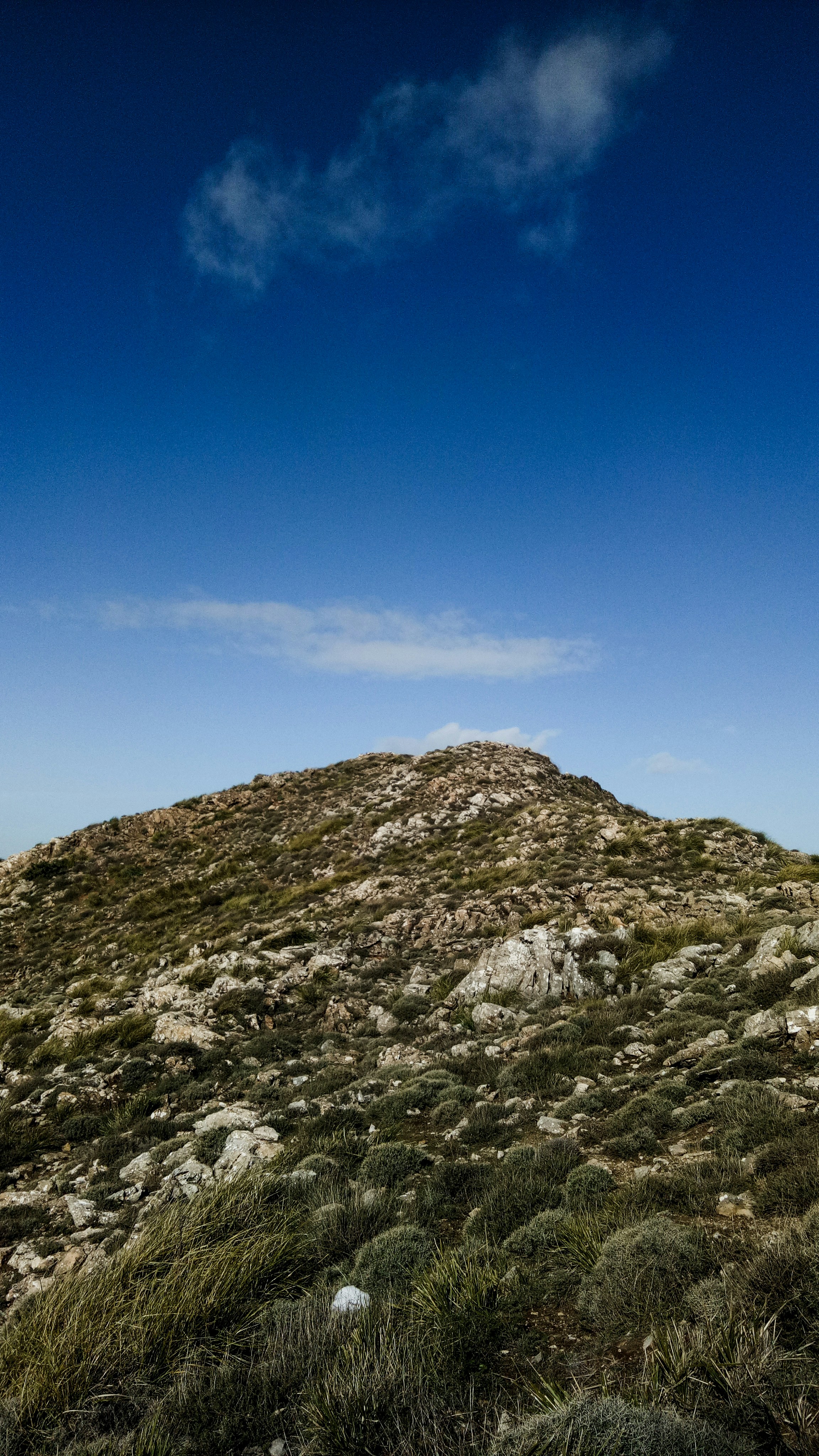 a hill with a few bushes on top of it