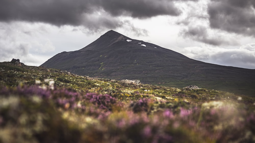 a mountain covered in clouds and flowers under a cloudy sky