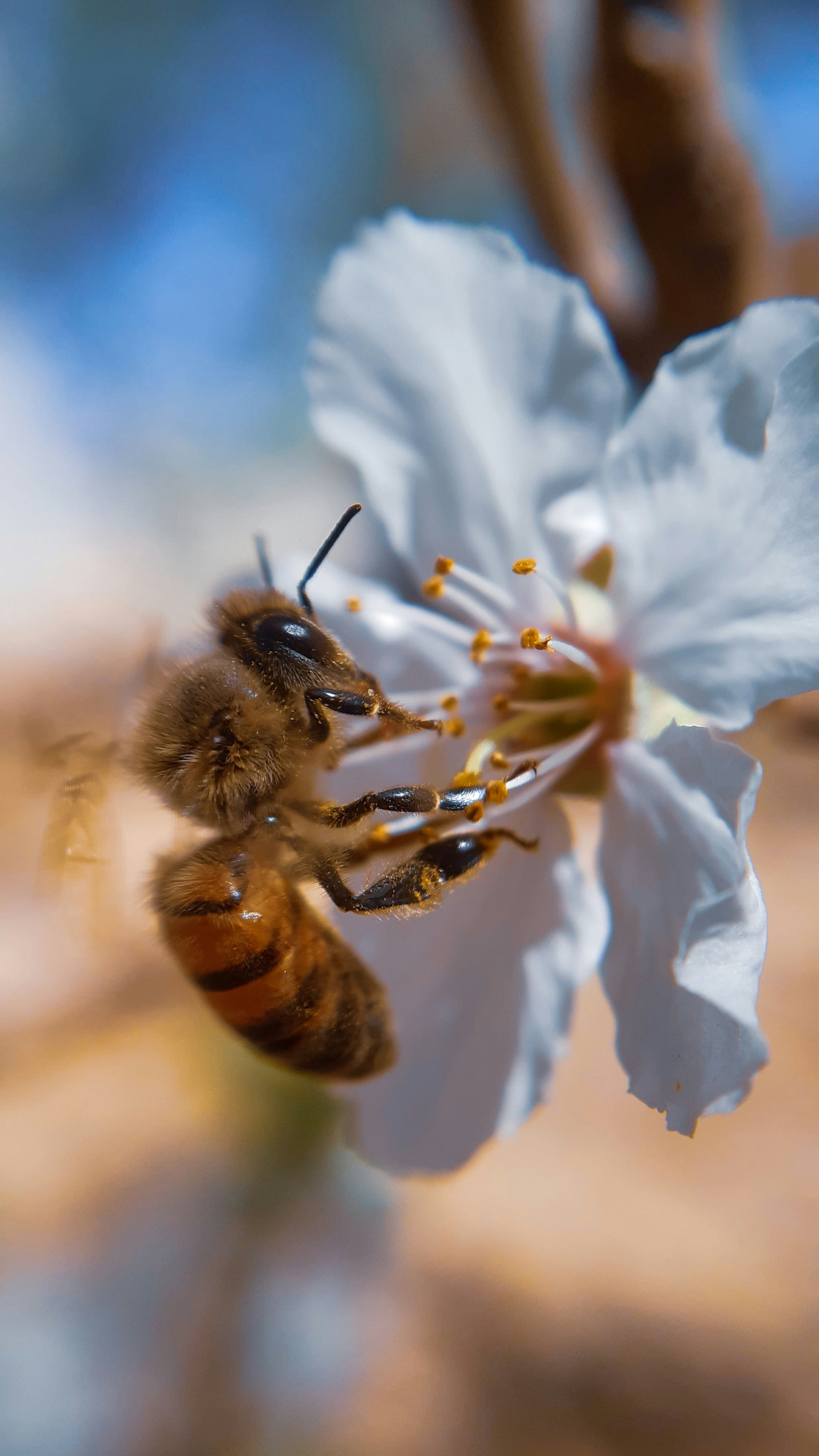 Photo by alisaeidi888