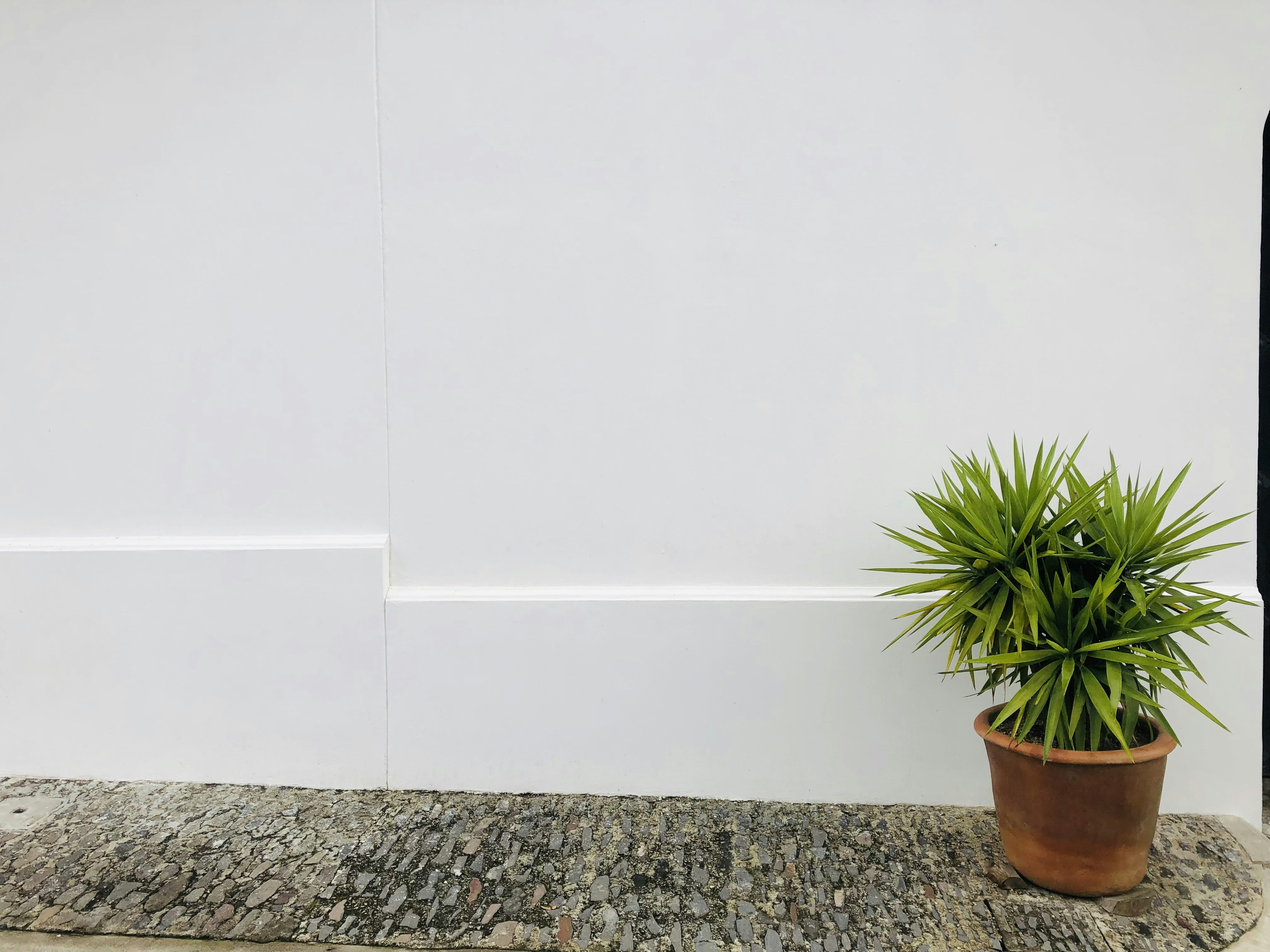 Photo by jeremyboley