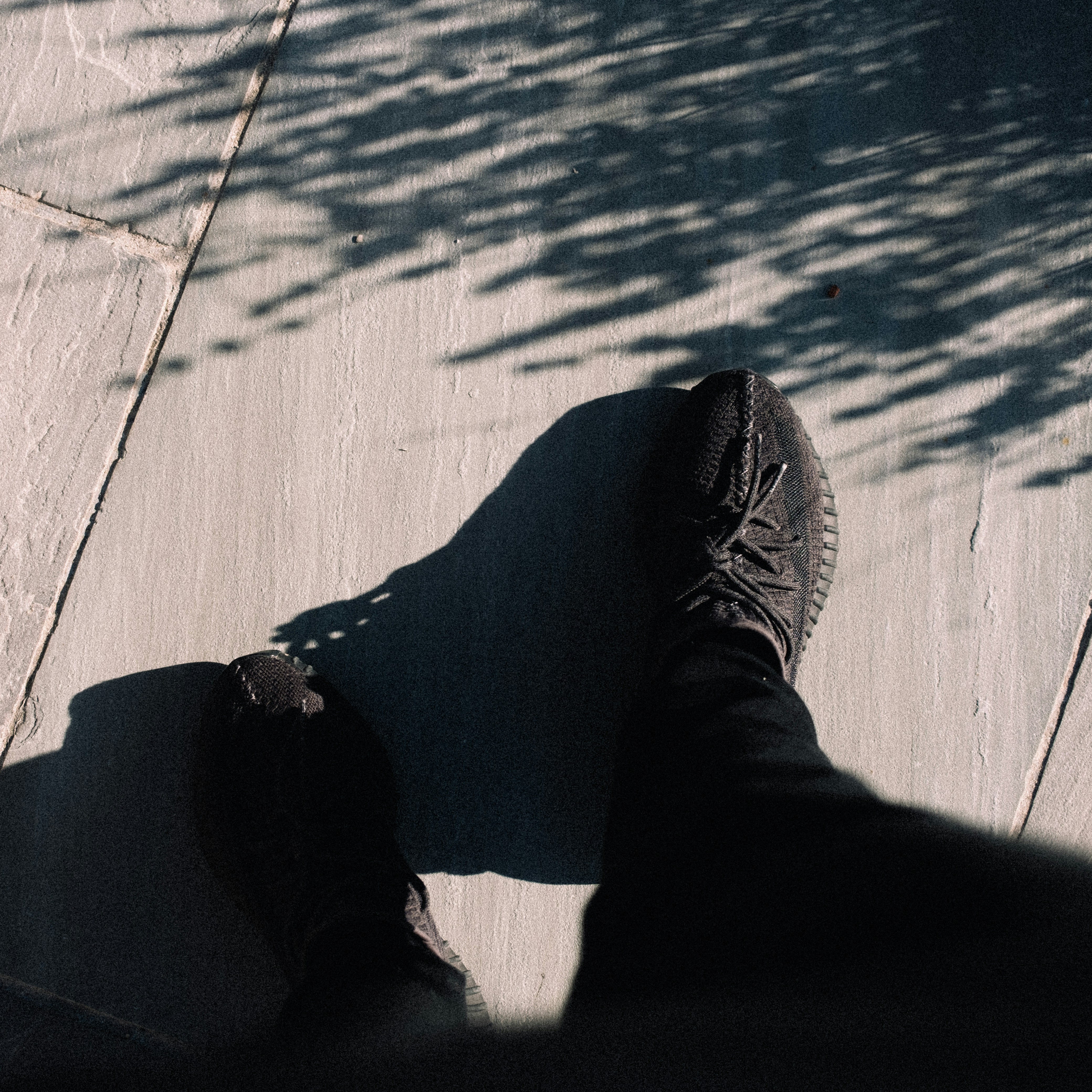 Photo by lawlesscapture