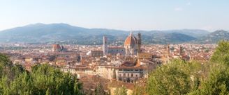 a view of a city with mountains in the background