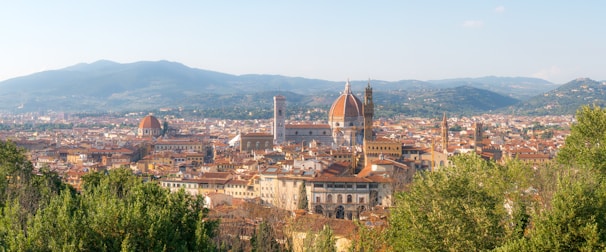 a view of a city with mountains in the background