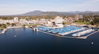 an aerial view of a marina in a city