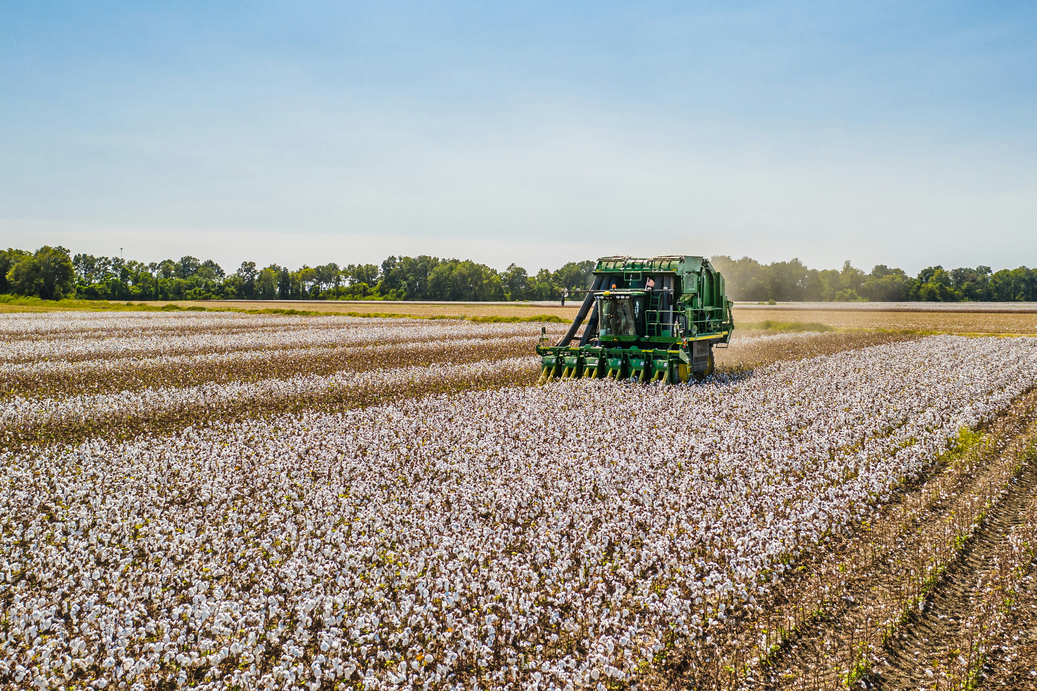 Image of Tractor driving through a field of flowers