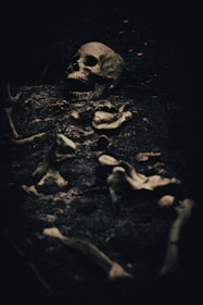 a human skull is shown in the dark