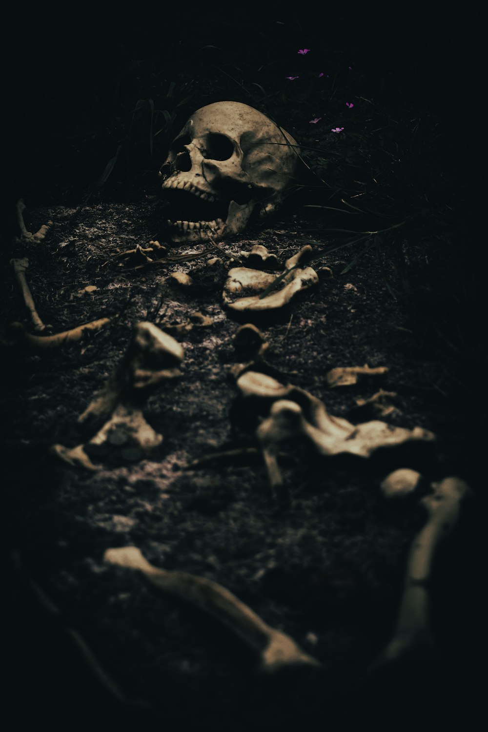 um crânio humano é mostrado no escuro