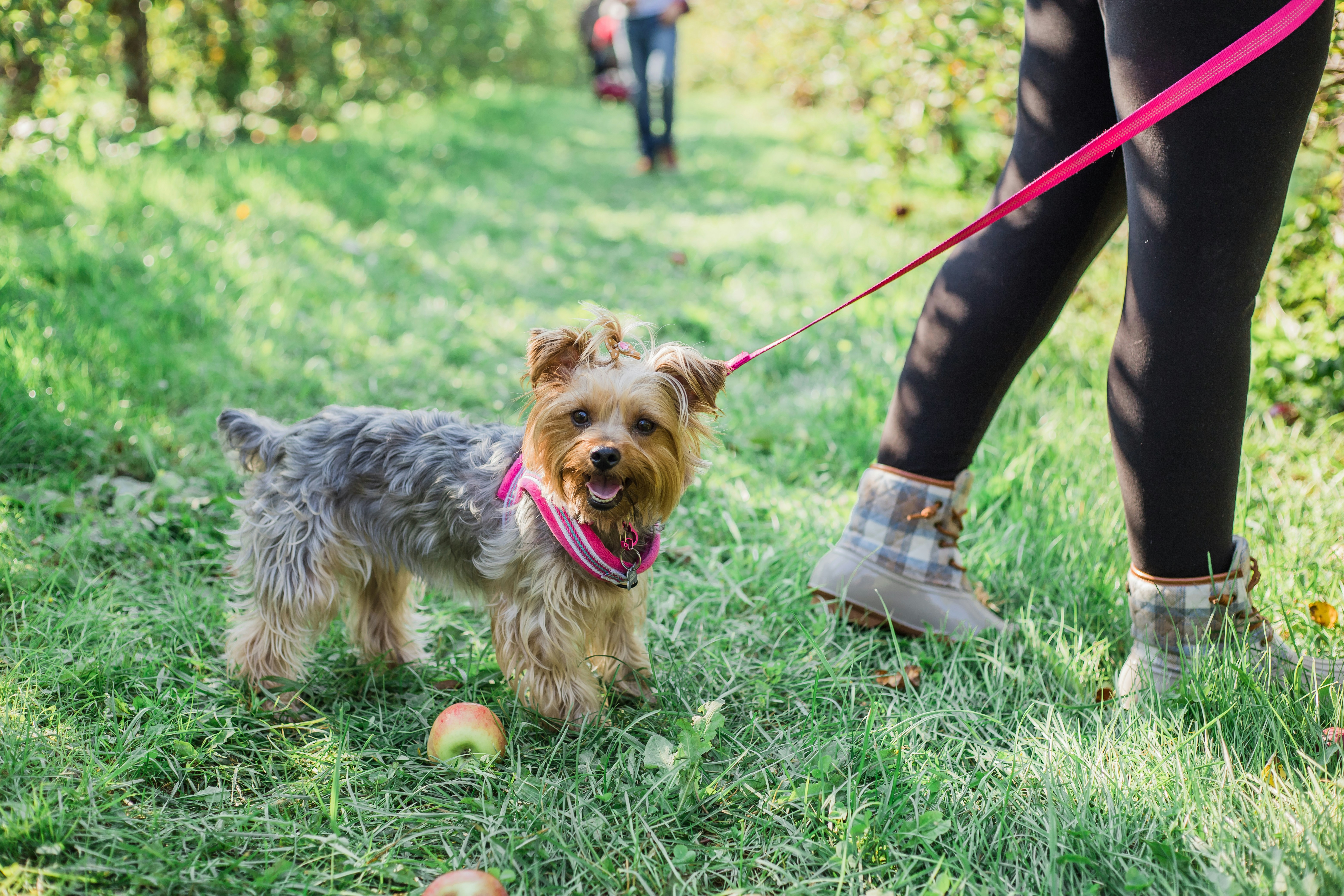 Photo by bonniekdesign