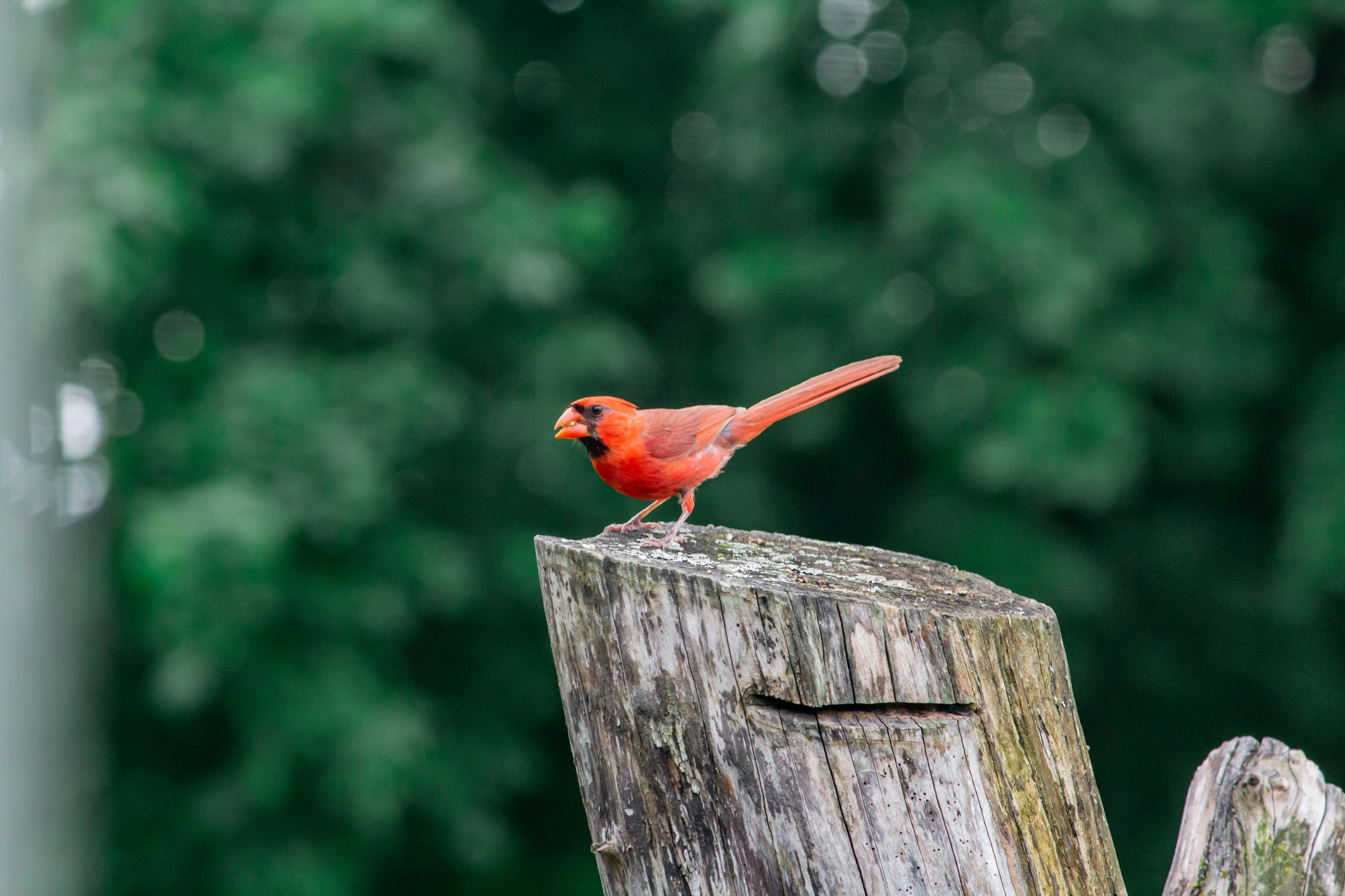 Photo by bonniekdesign