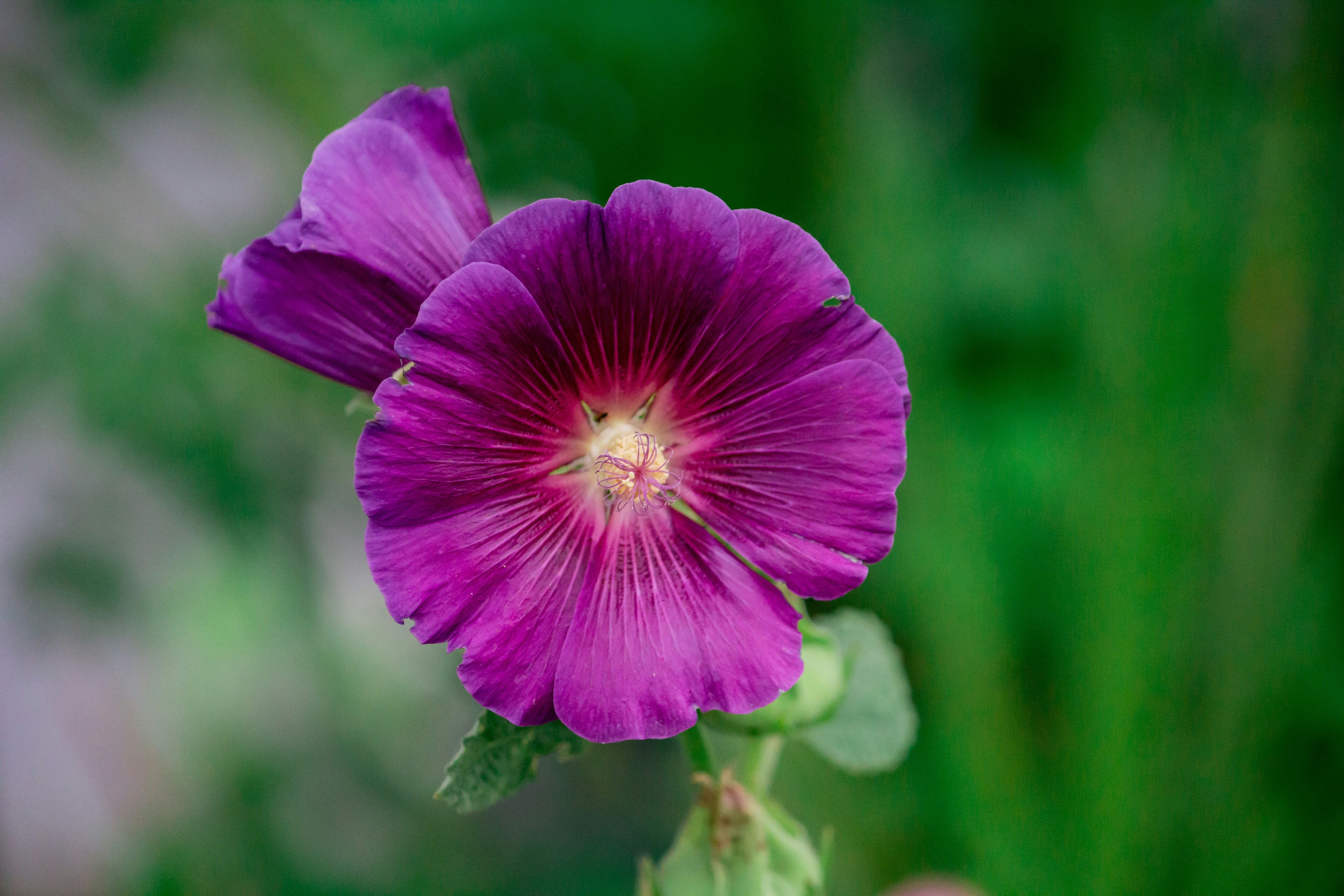 Photo by bonniekdesign