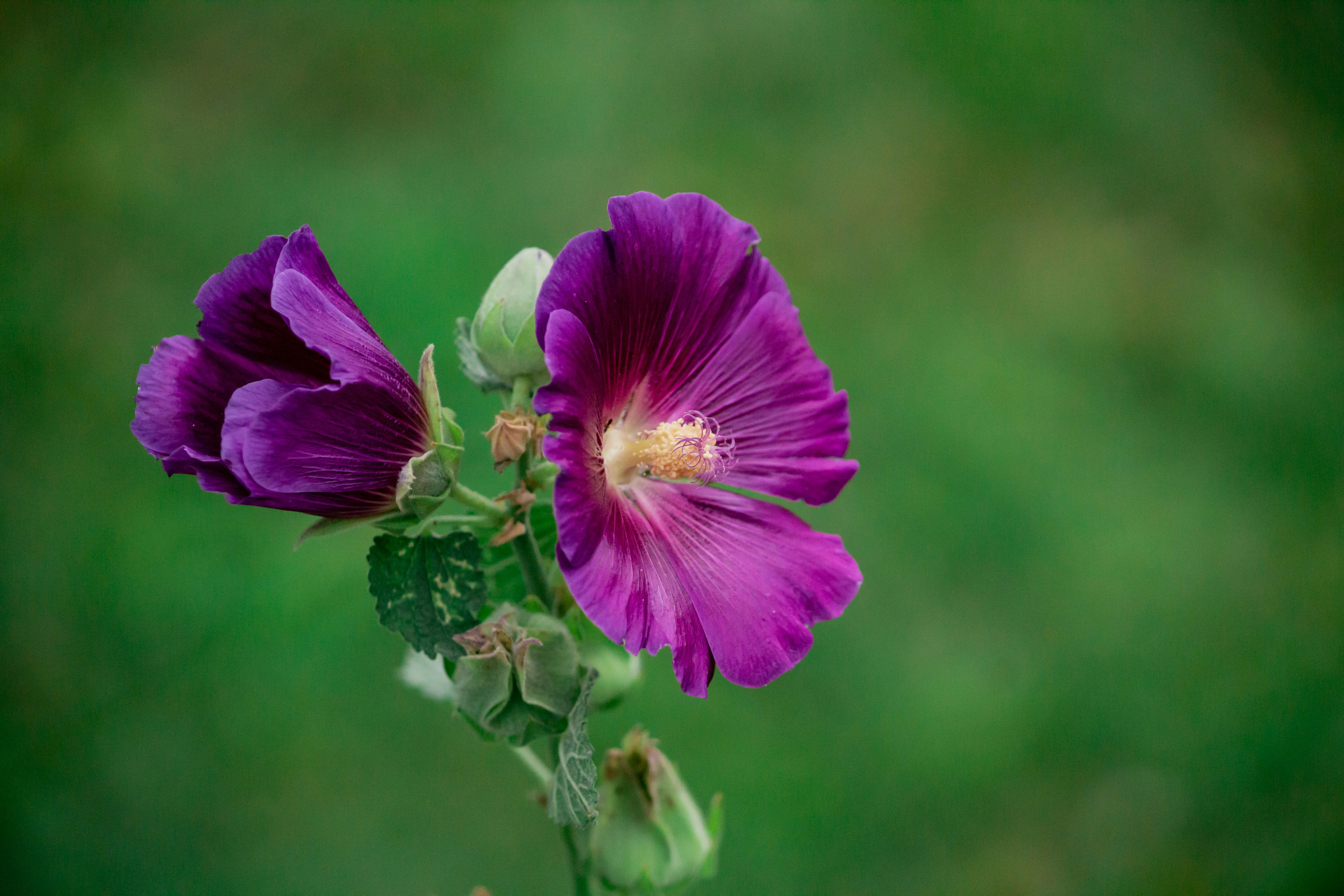 Photo by bonniekdesign